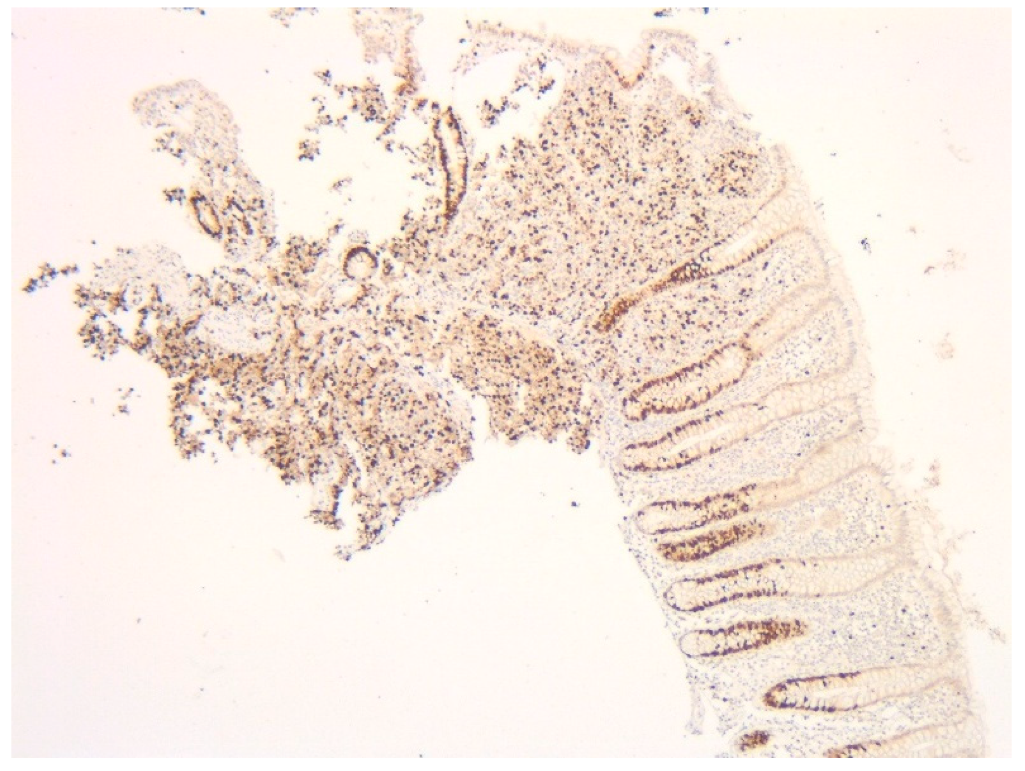 Diagnostics 15 02535 g004 Diagnostics 15 02535 g004