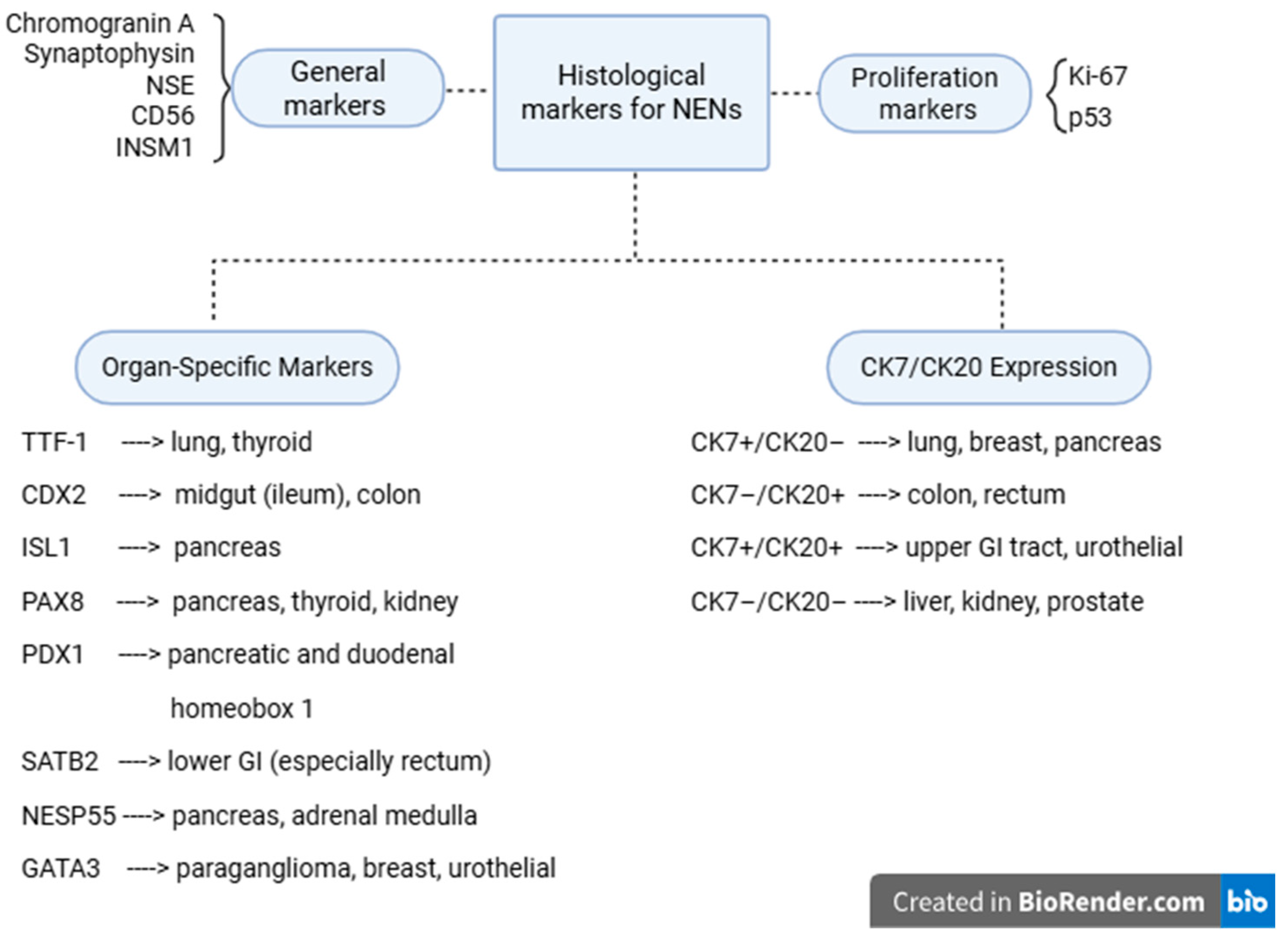 Diagnostics 15 02535 g008 Diagnostics 15 02535 g008