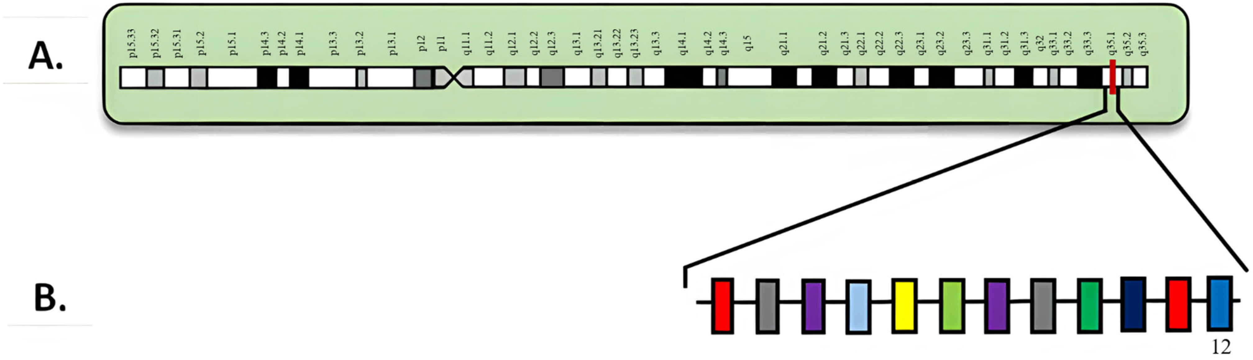 Diagnostics 15 02537 g001