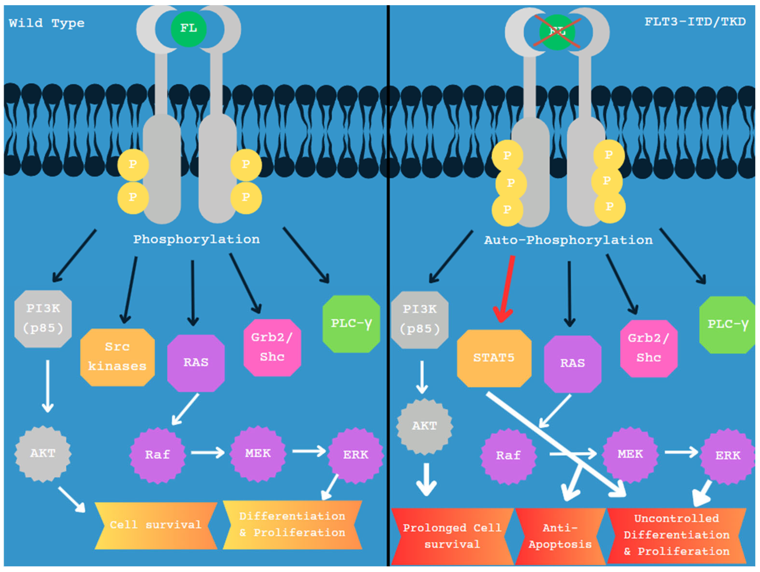 Diagnostics 15 02537 g002