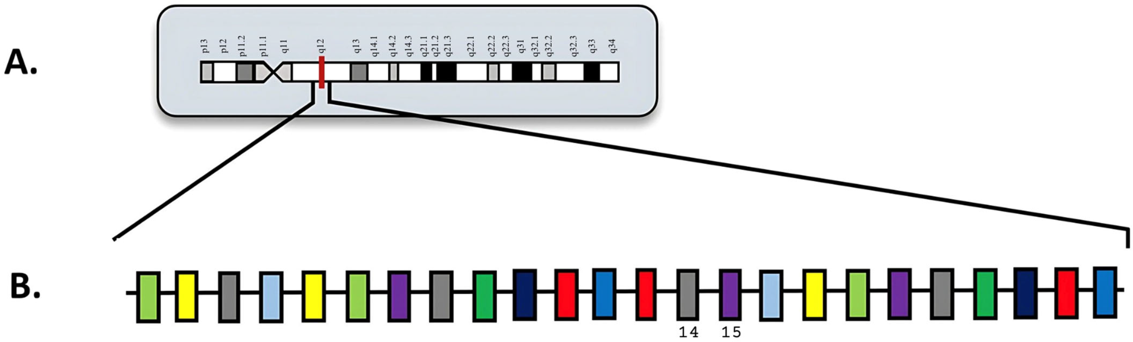 Diagnostics 15 02537 g003