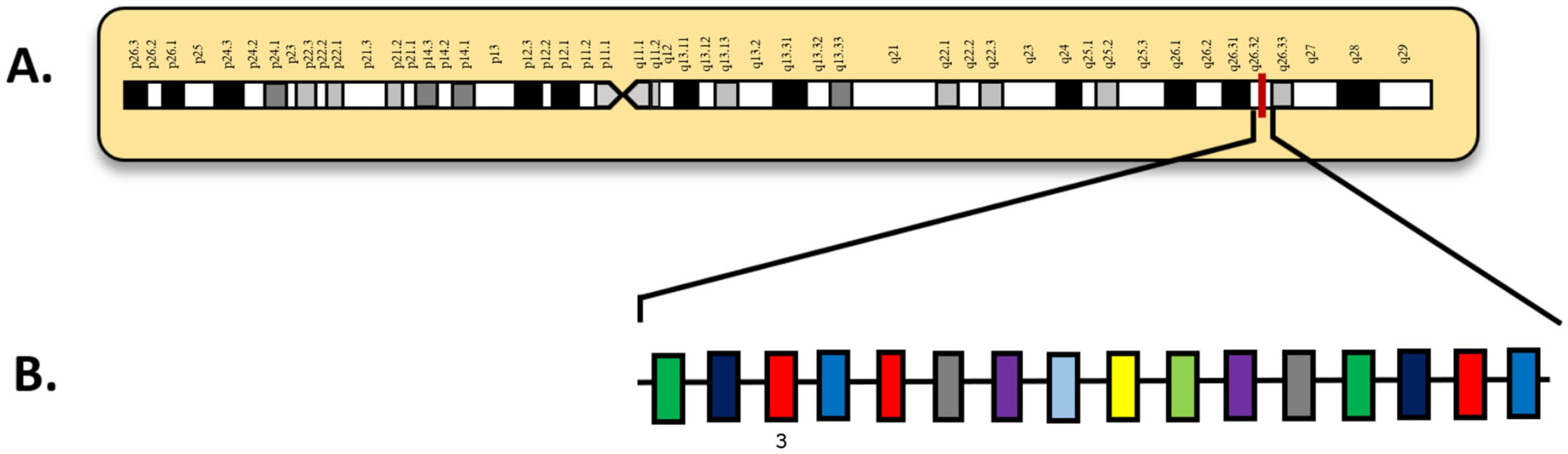 Diagnostics 15 02537 g005