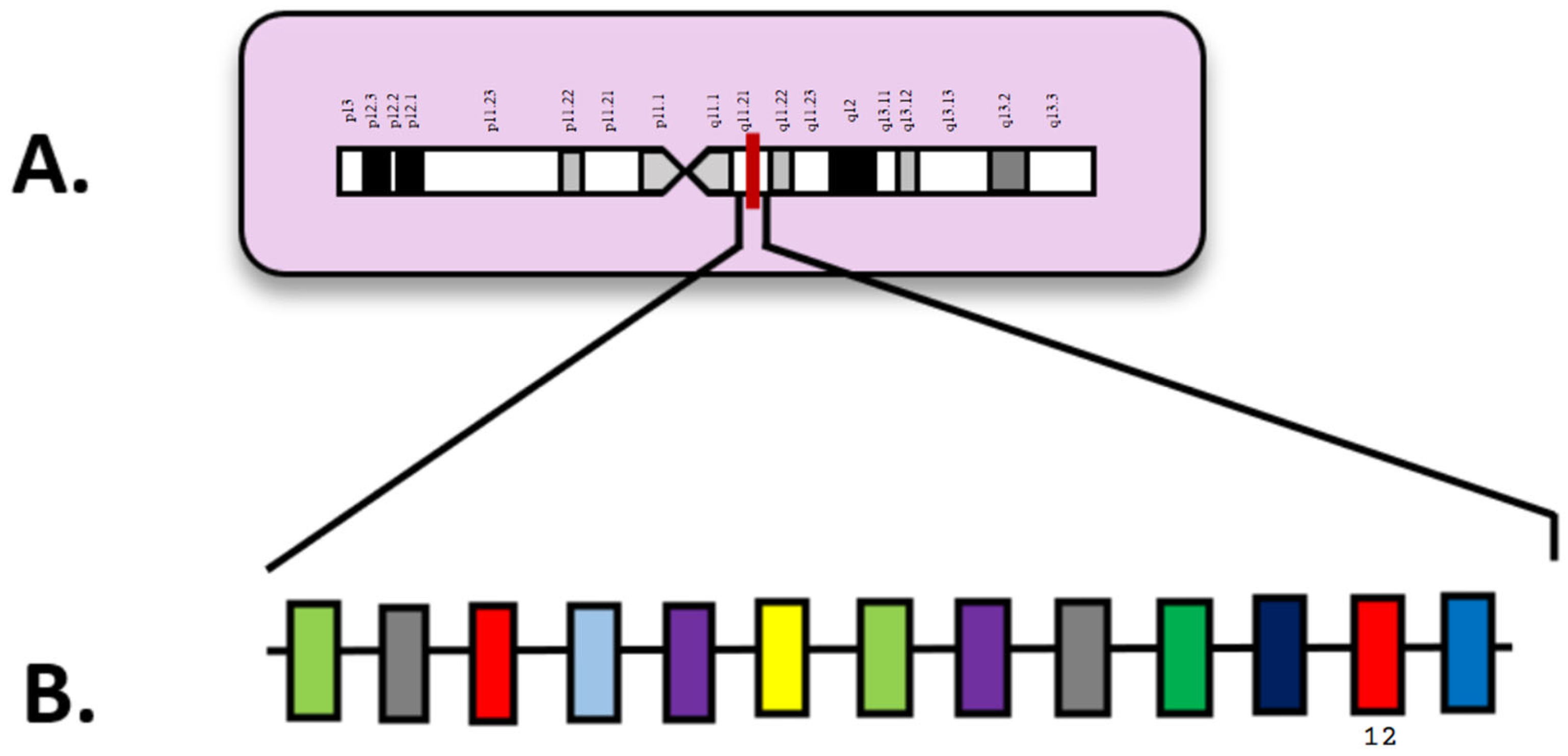 Diagnostics 15 02537 g006