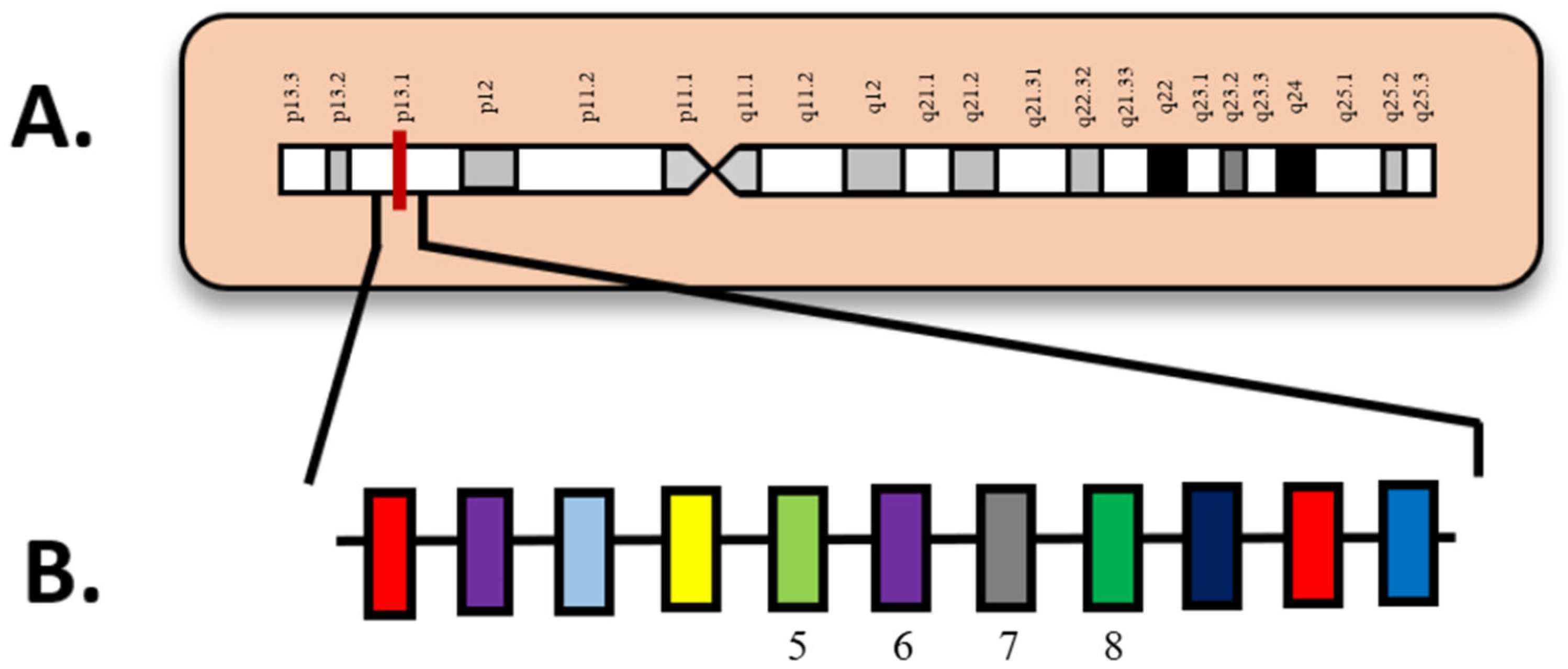 Diagnostics 15 02537 g007