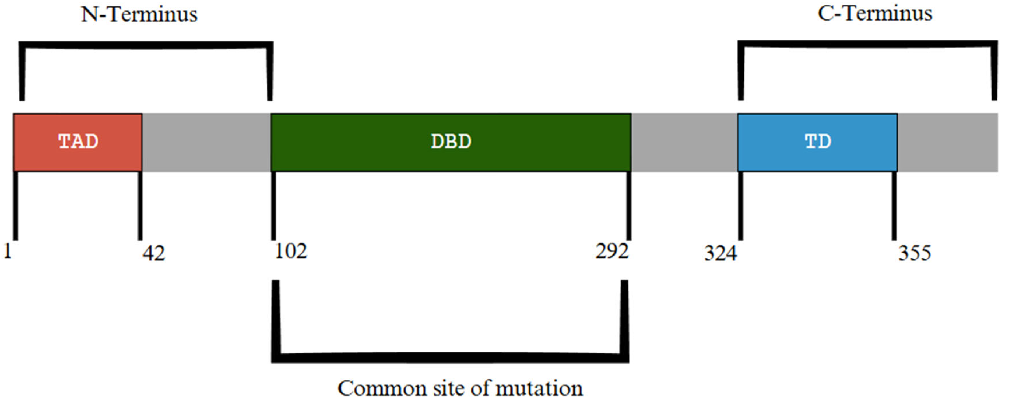 Diagnostics 15 02537 g008