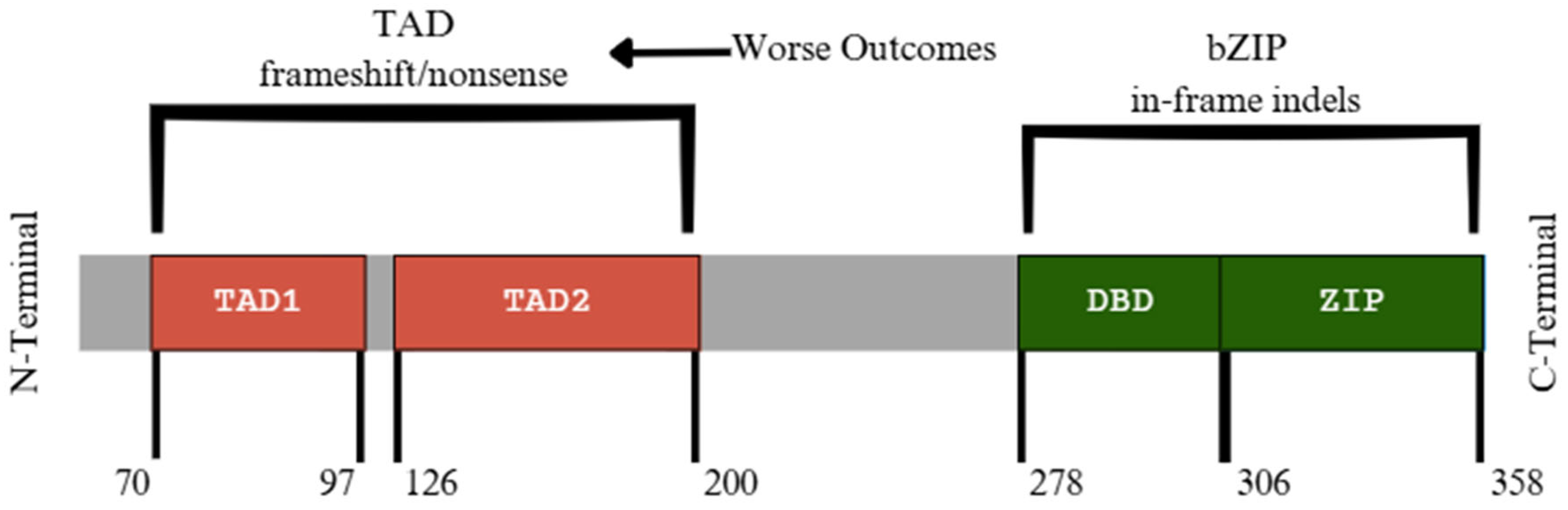 Diagnostics 15 02537 g010