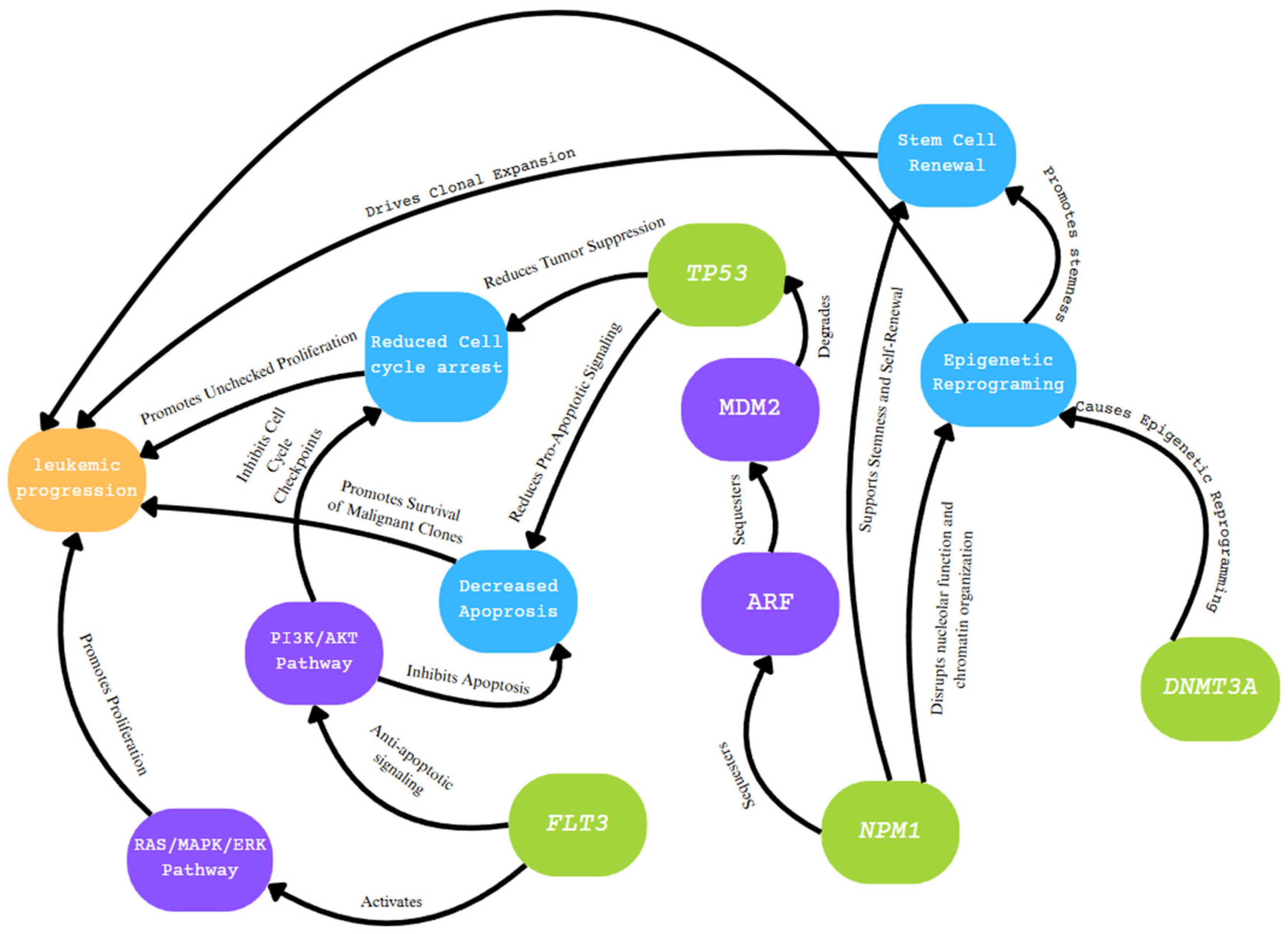 Diagnostics 15 02537 g014