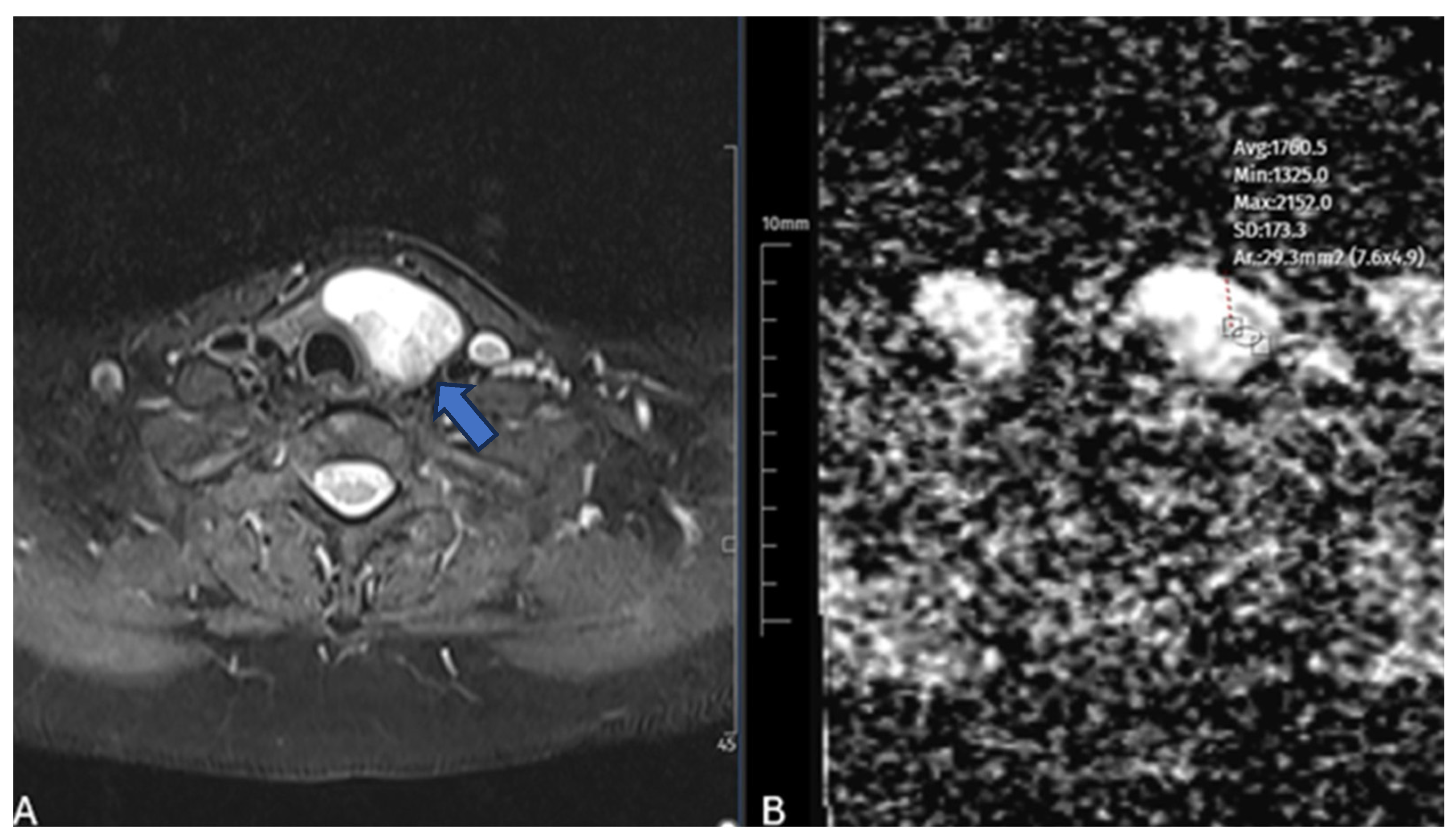 Diagnostics 15 02538 g001 Diagnostics 15 02538 g001