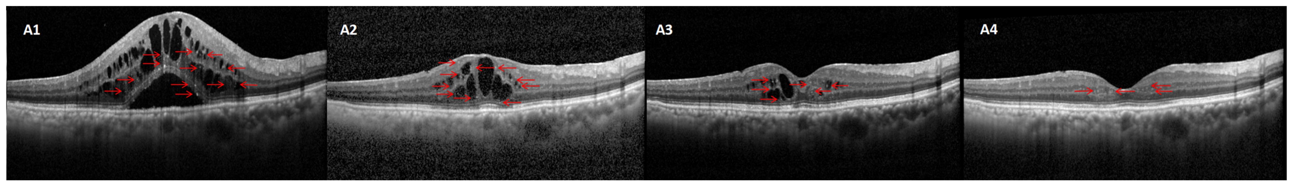 Diagnostics 15 02539 g001 Diagnostics 15 02539 g001