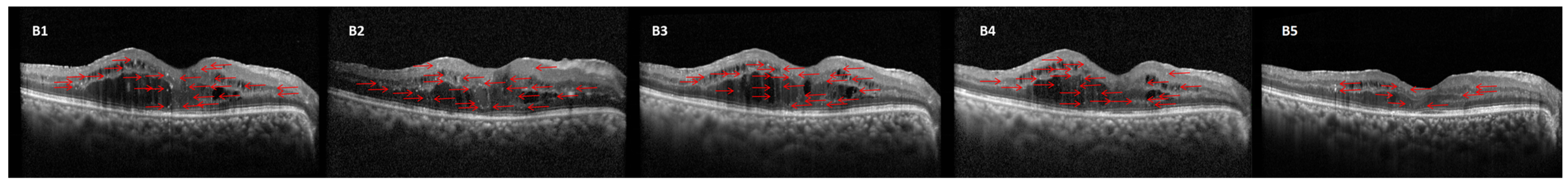 Diagnostics 15 02539 g002 Diagnostics 15 02539 g002