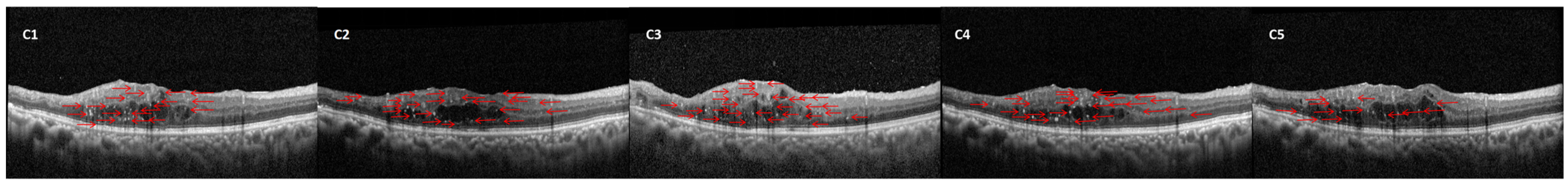 Diagnostics 15 02539 g003 Diagnostics 15 02539 g003
