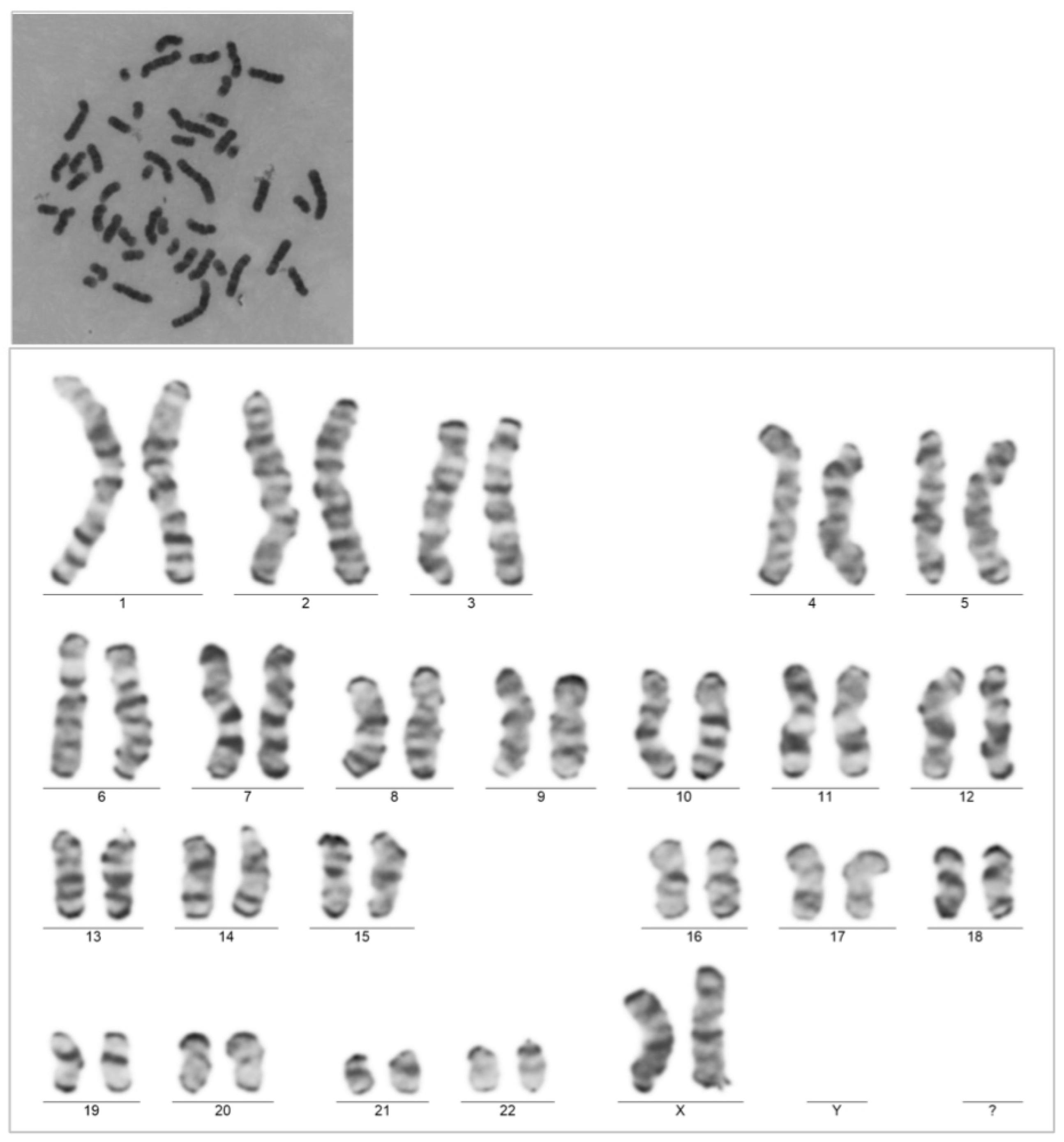 Diagnostics 15 02540 g001 Diagnostics 15 02540 g001