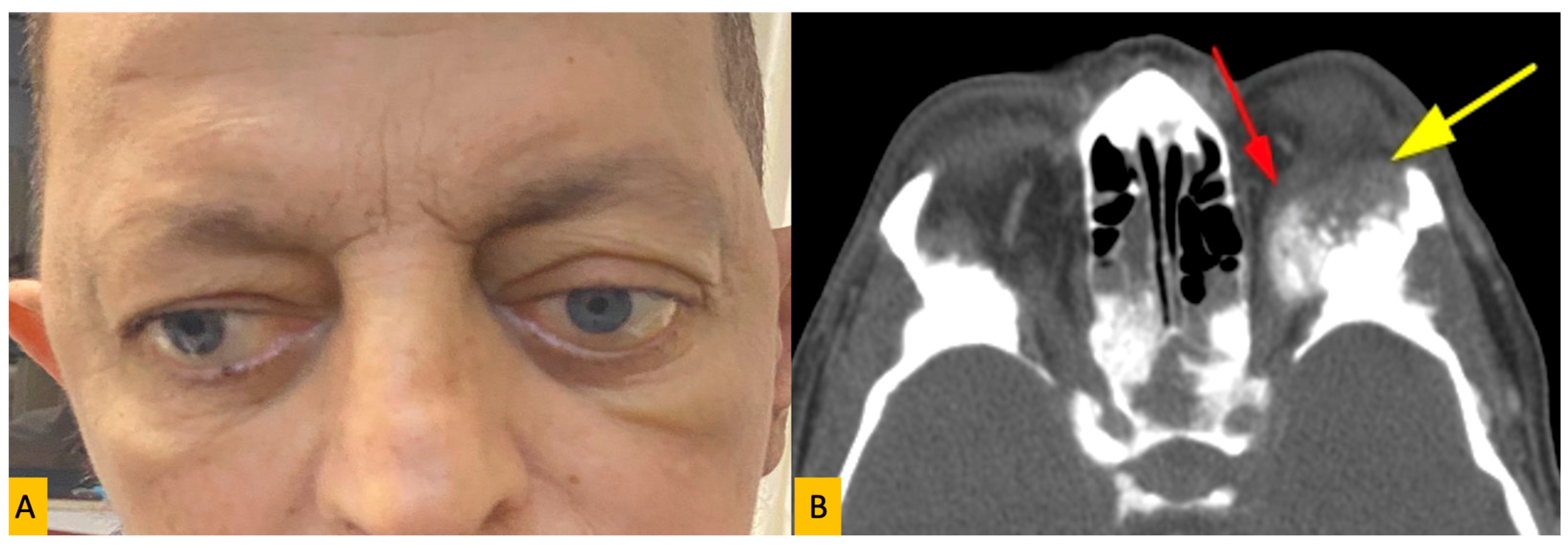 Diagnostics 15 02542 g001