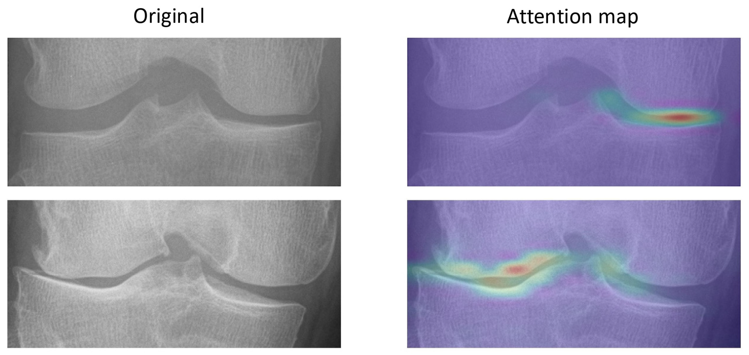 Diagnostics 15 02543 g003