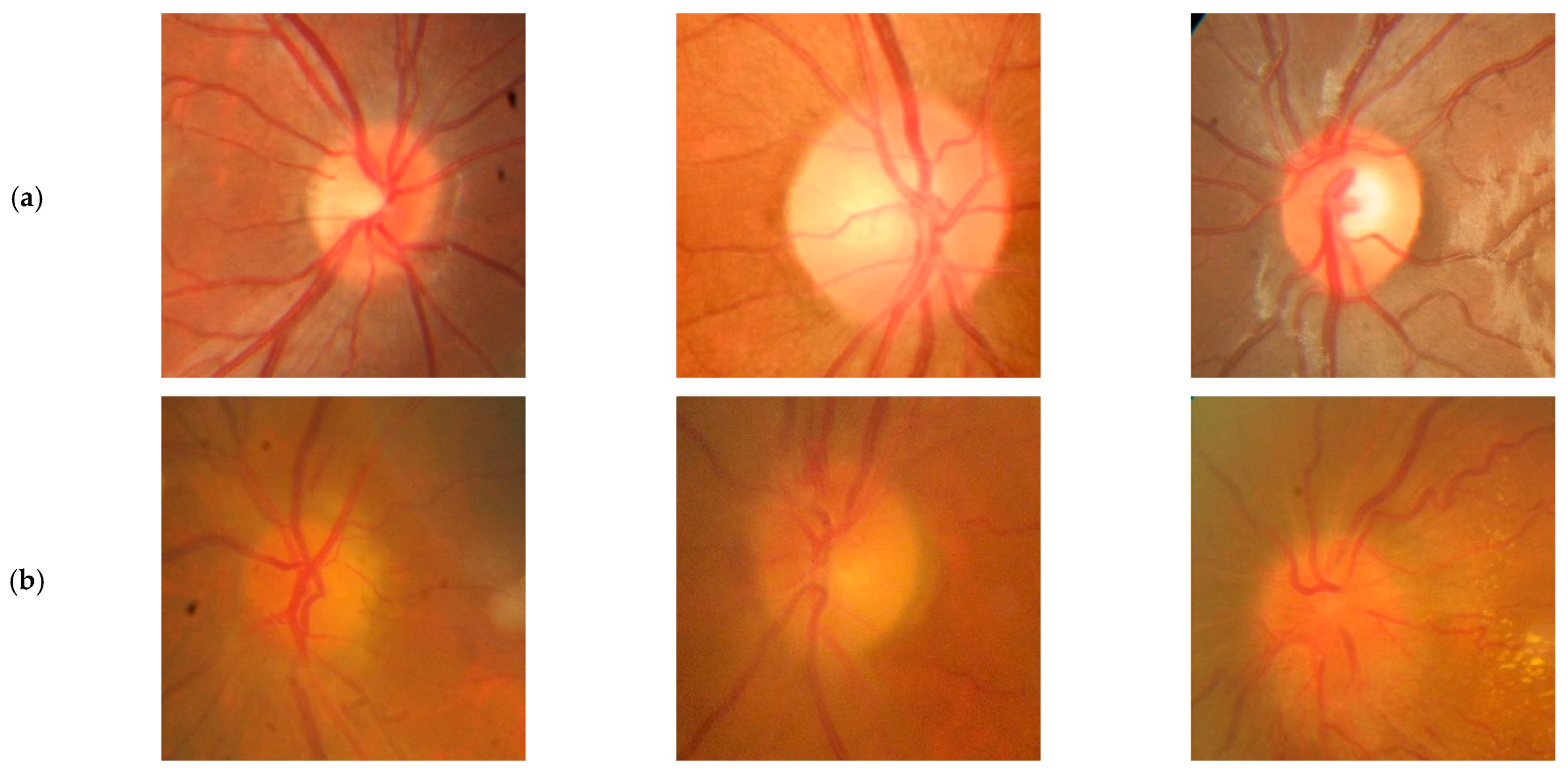 Diagnostics 15 02547 g001 Diagnostics 15 02547 g001