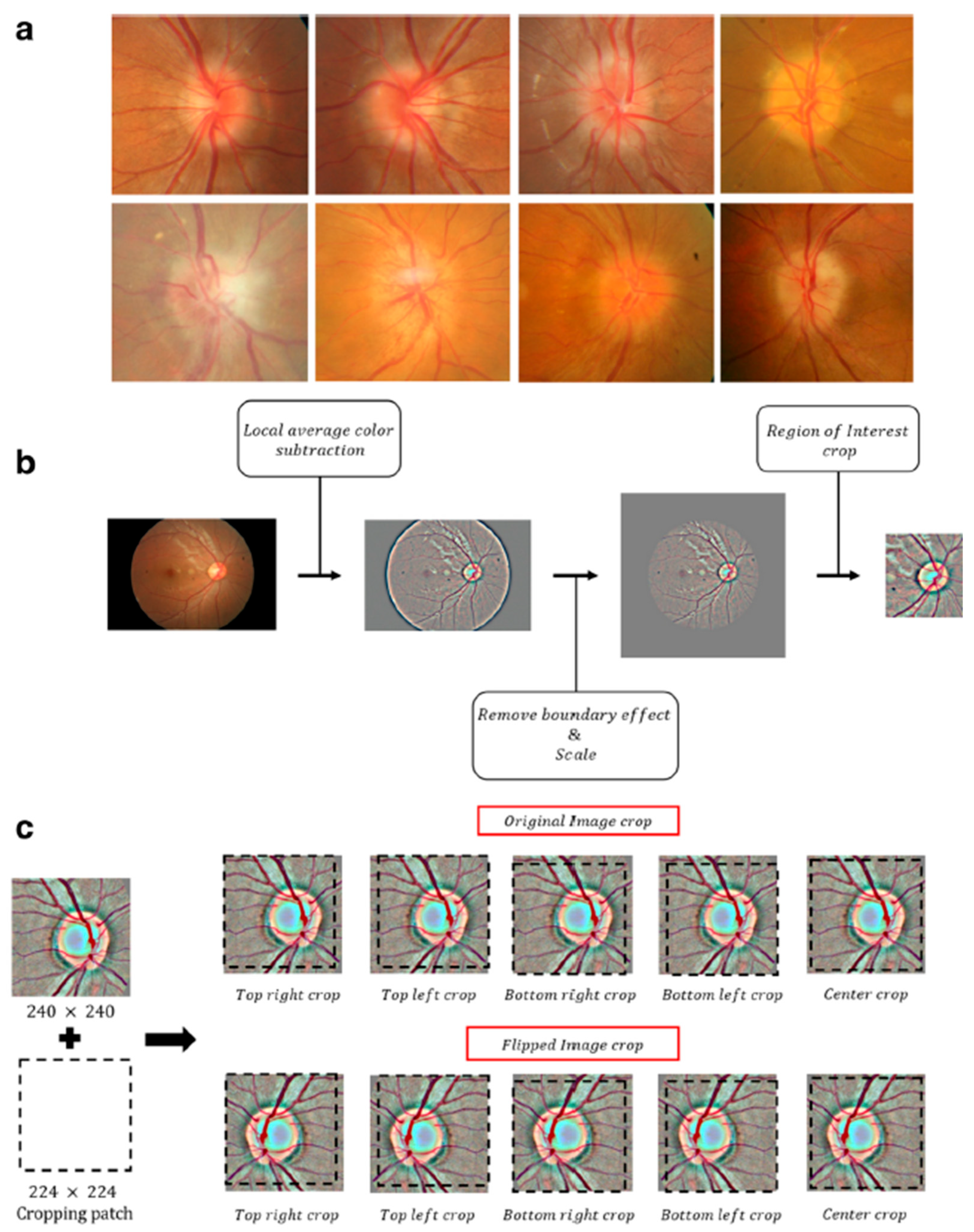 Diagnostics 15 02547 g002 Diagnostics 15 02547 g002