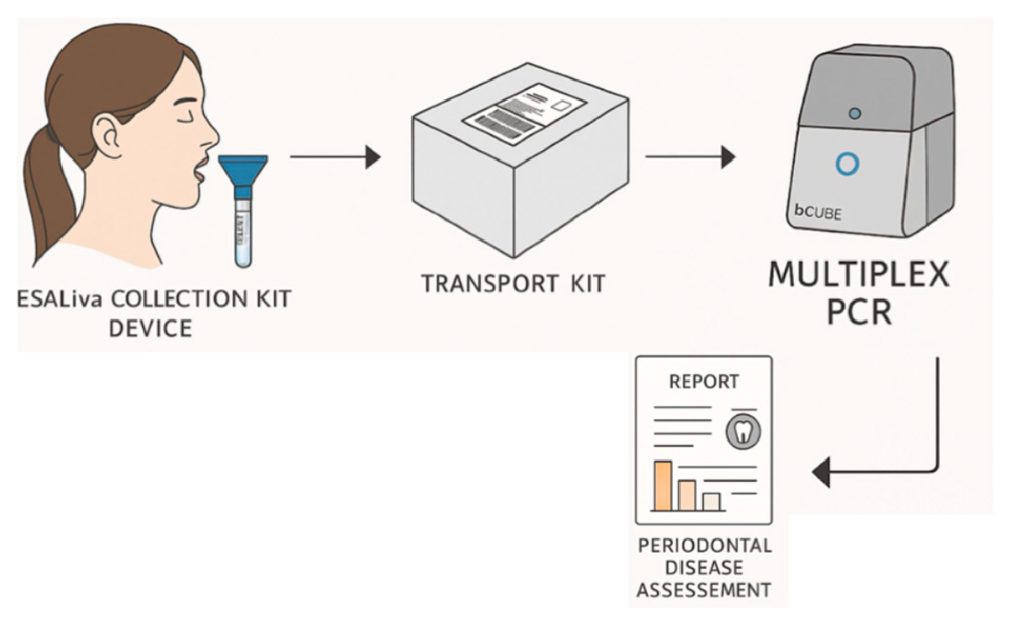 Diagnostics 15 02548 g001