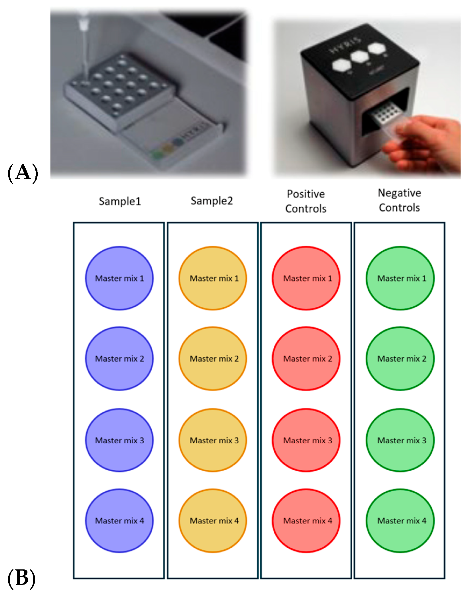 Diagnostics 15 02548 g002