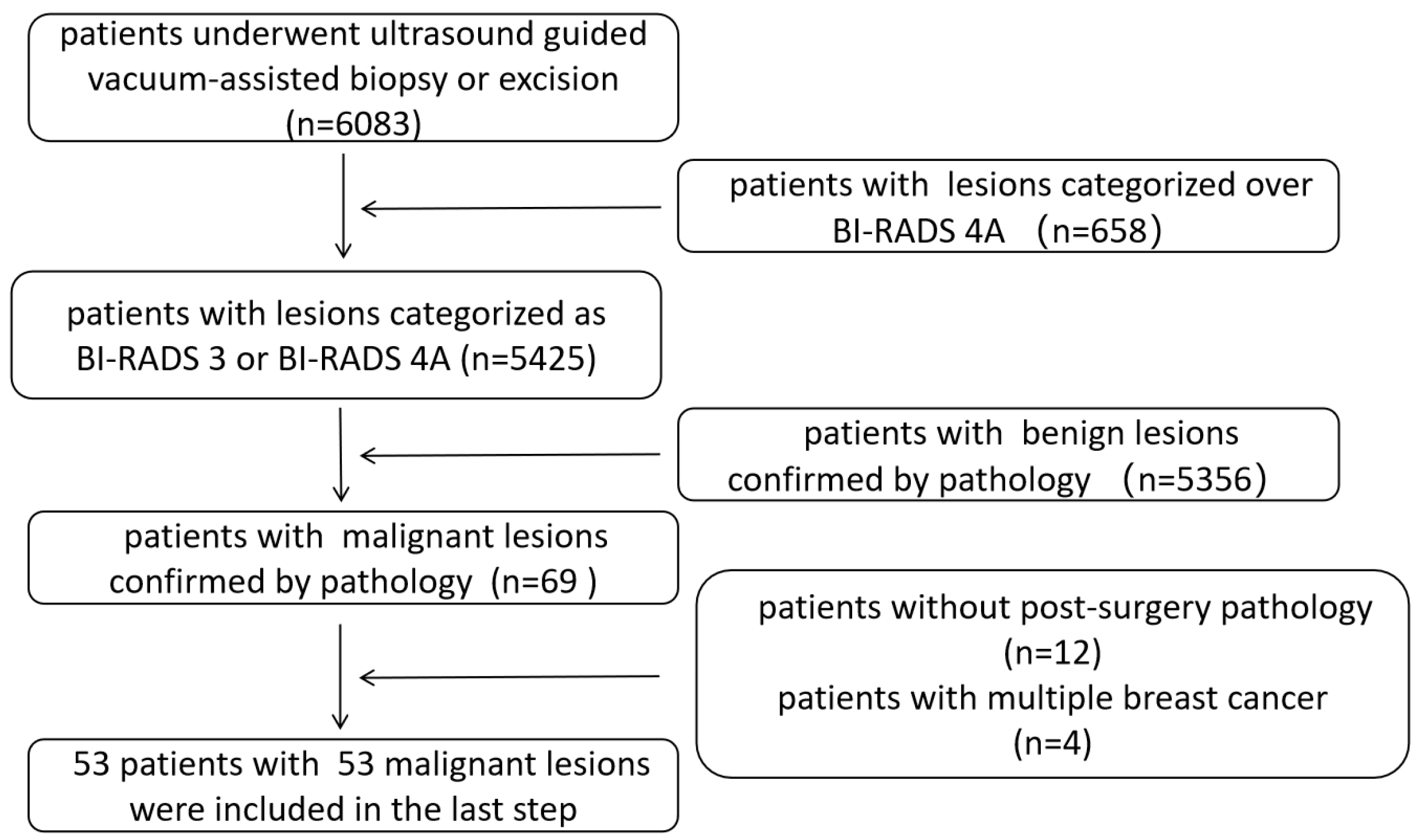 Diagnostics 15 02549 g001