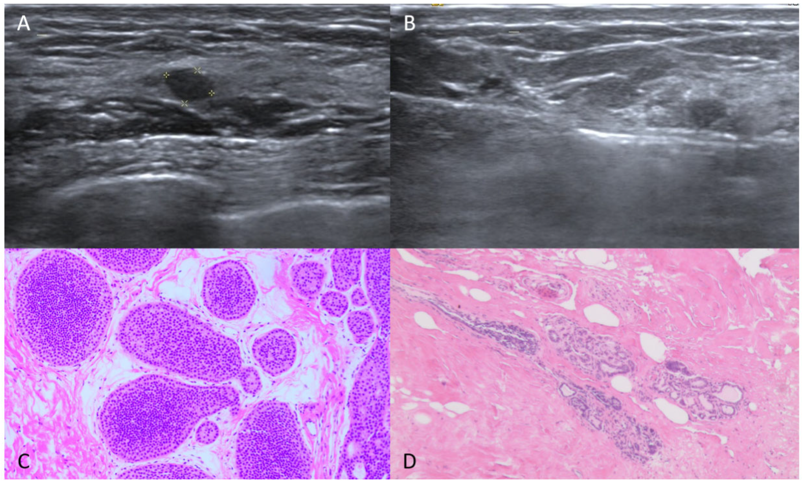 Diagnostics 15 02549 g002