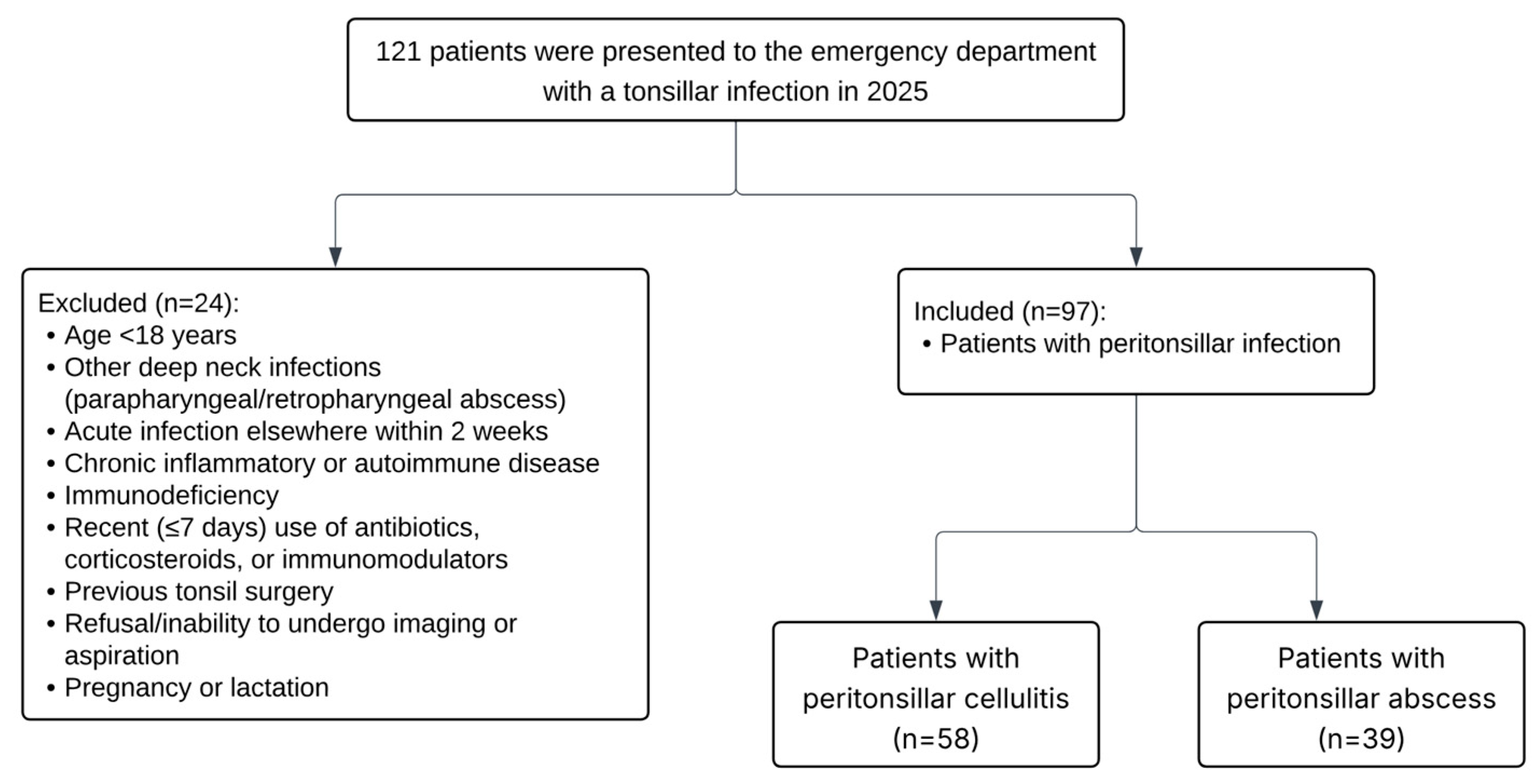 Diagnostics 15 02554 g001