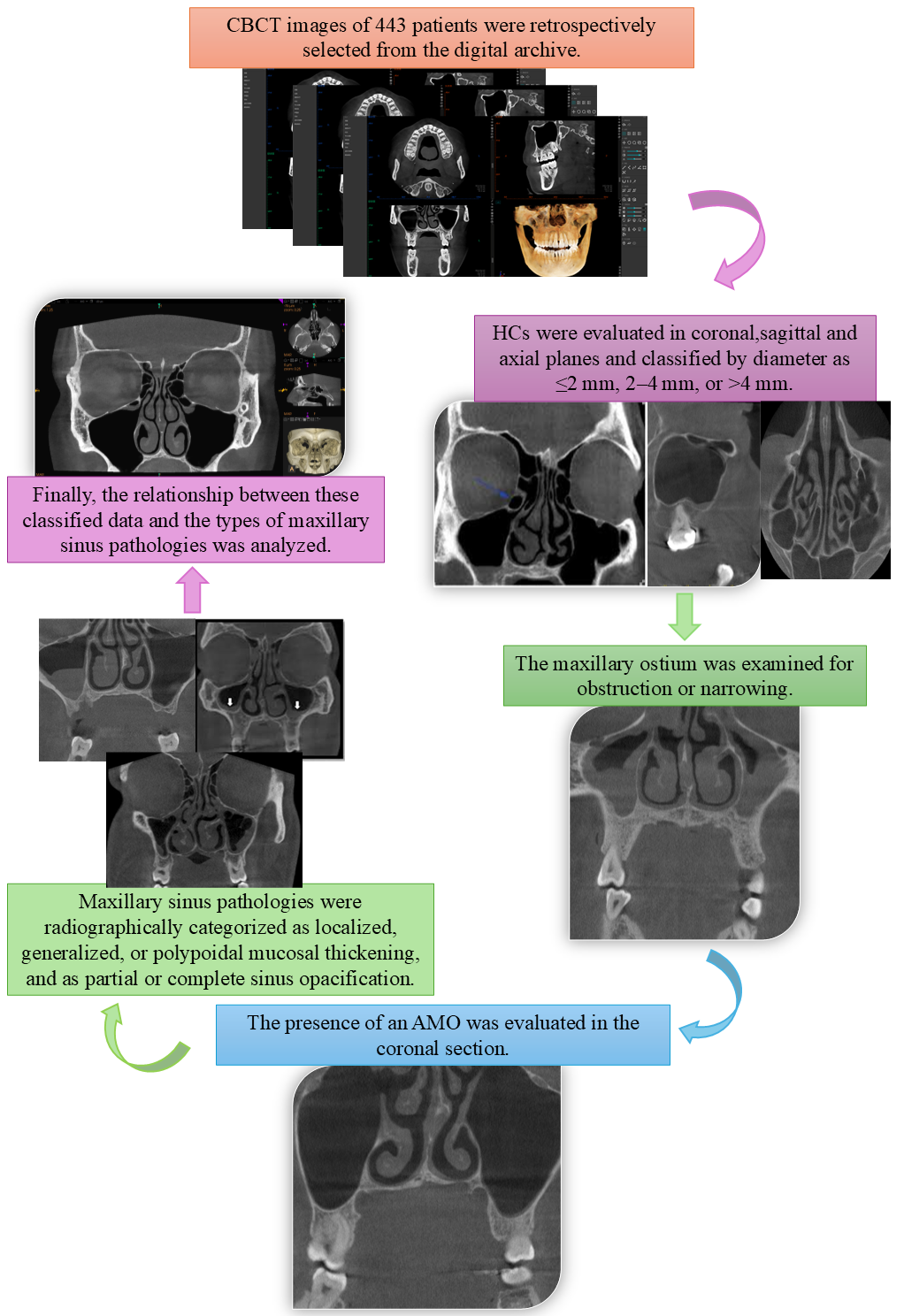 Diagnostics 15 02557 g005 Diagnostics 15 02557 g005
