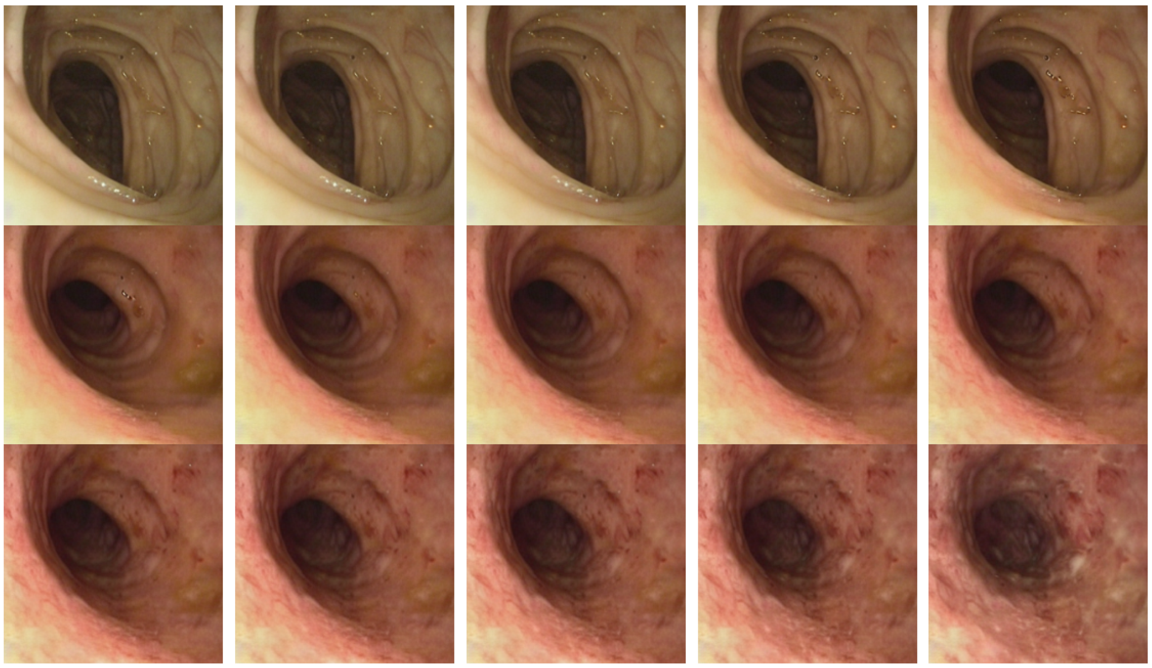 Diagnostics 15 02558 g004