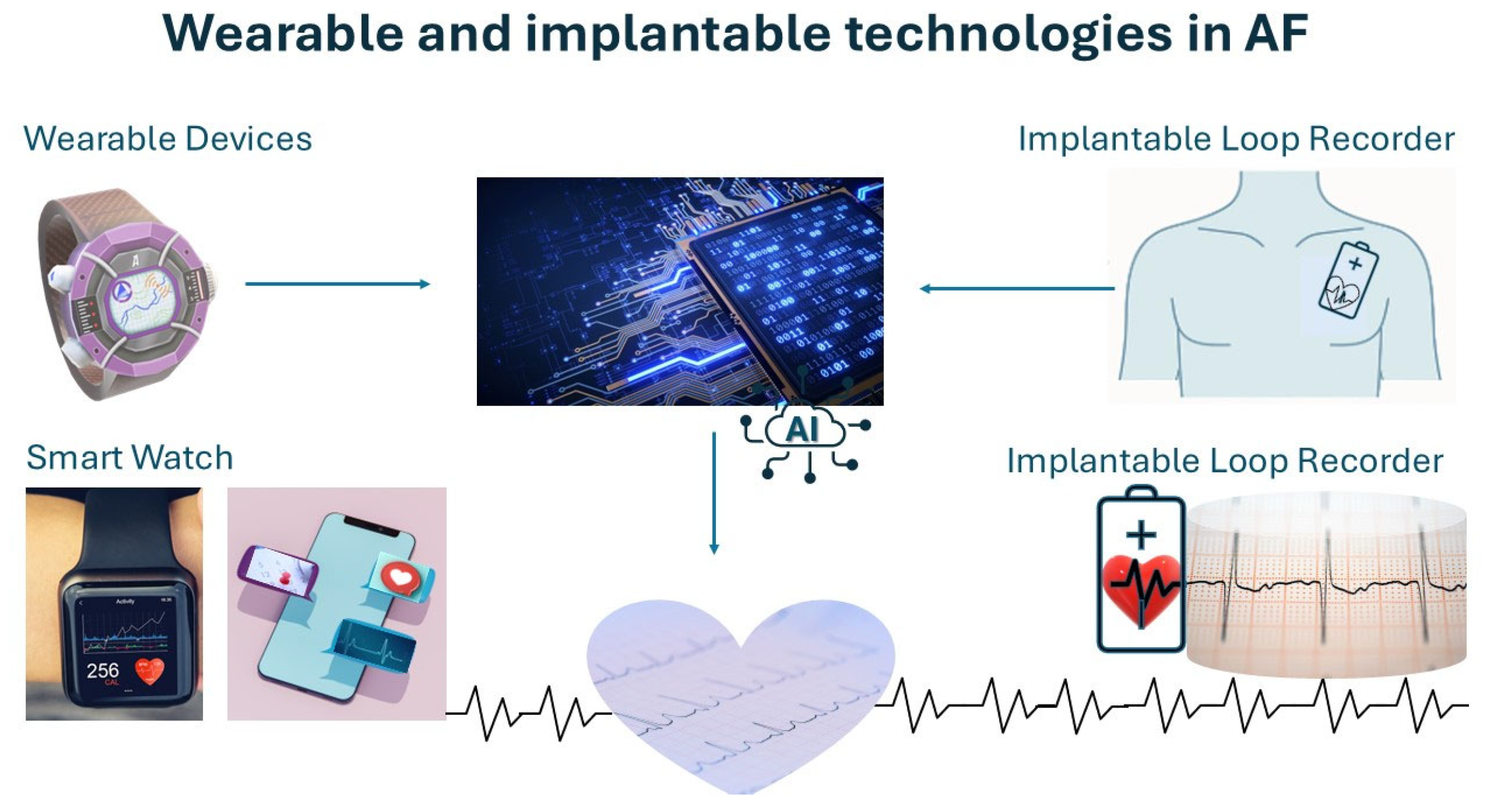 Diagnostics 15 02561 g002