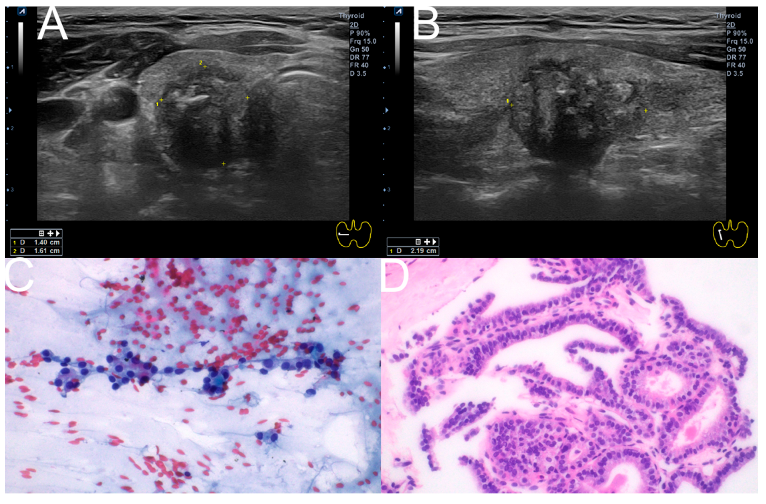 Diagnostics 15 02566 g006