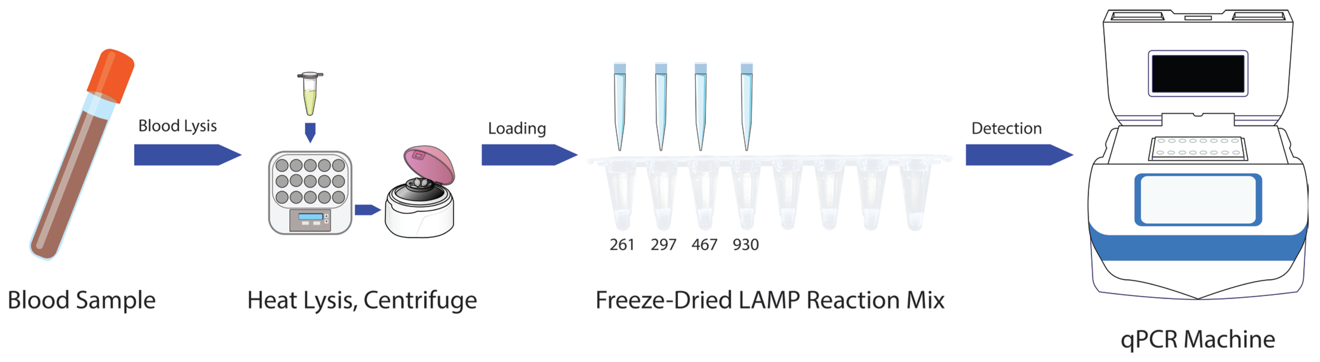 Diagnostics 15 02568 g004