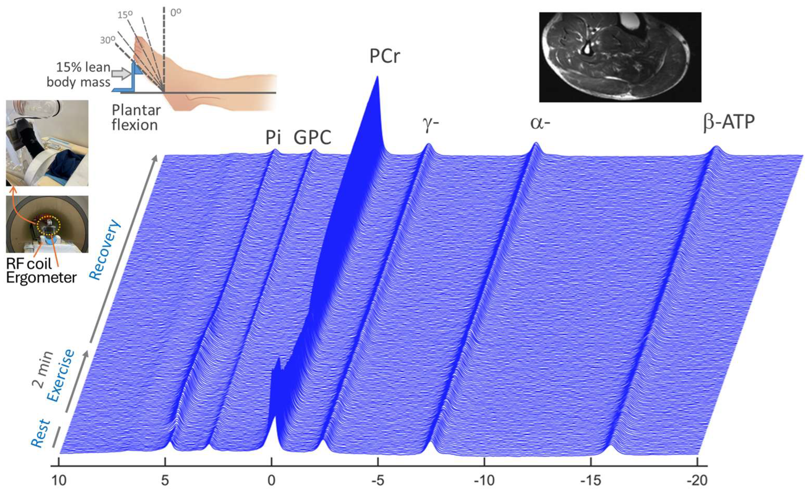 Diagnostics 15 02573 g001