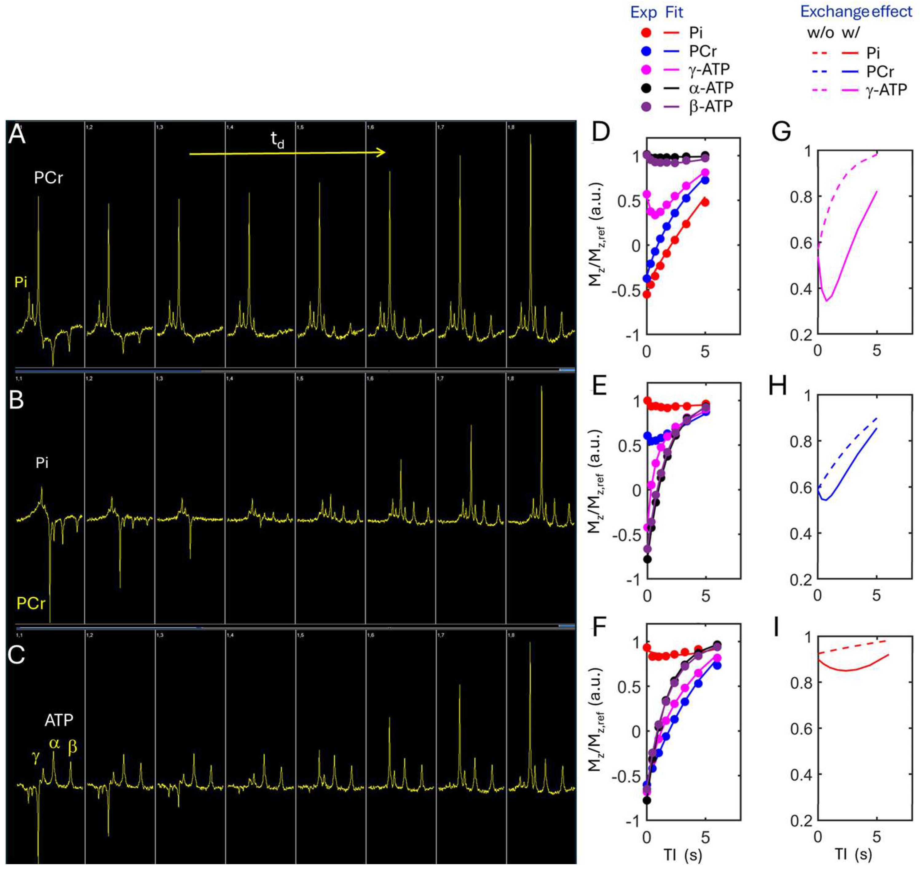 Diagnostics 15 02573 g004