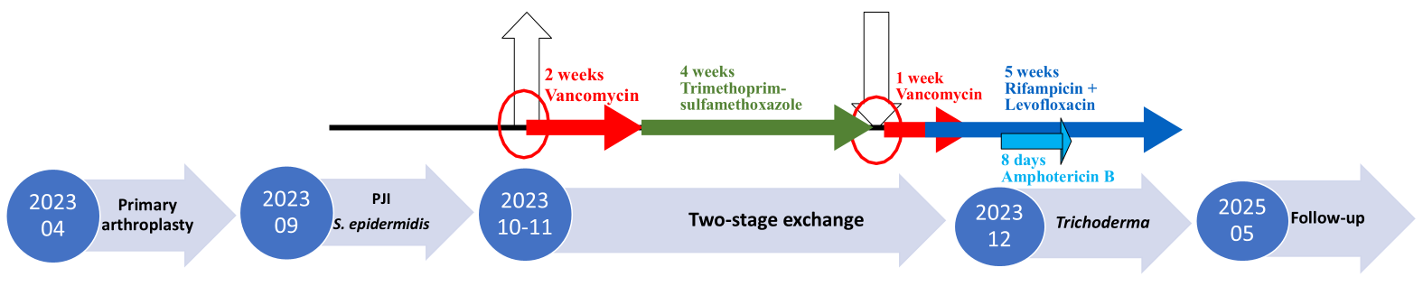 Diagnostics 15 02575 g001
