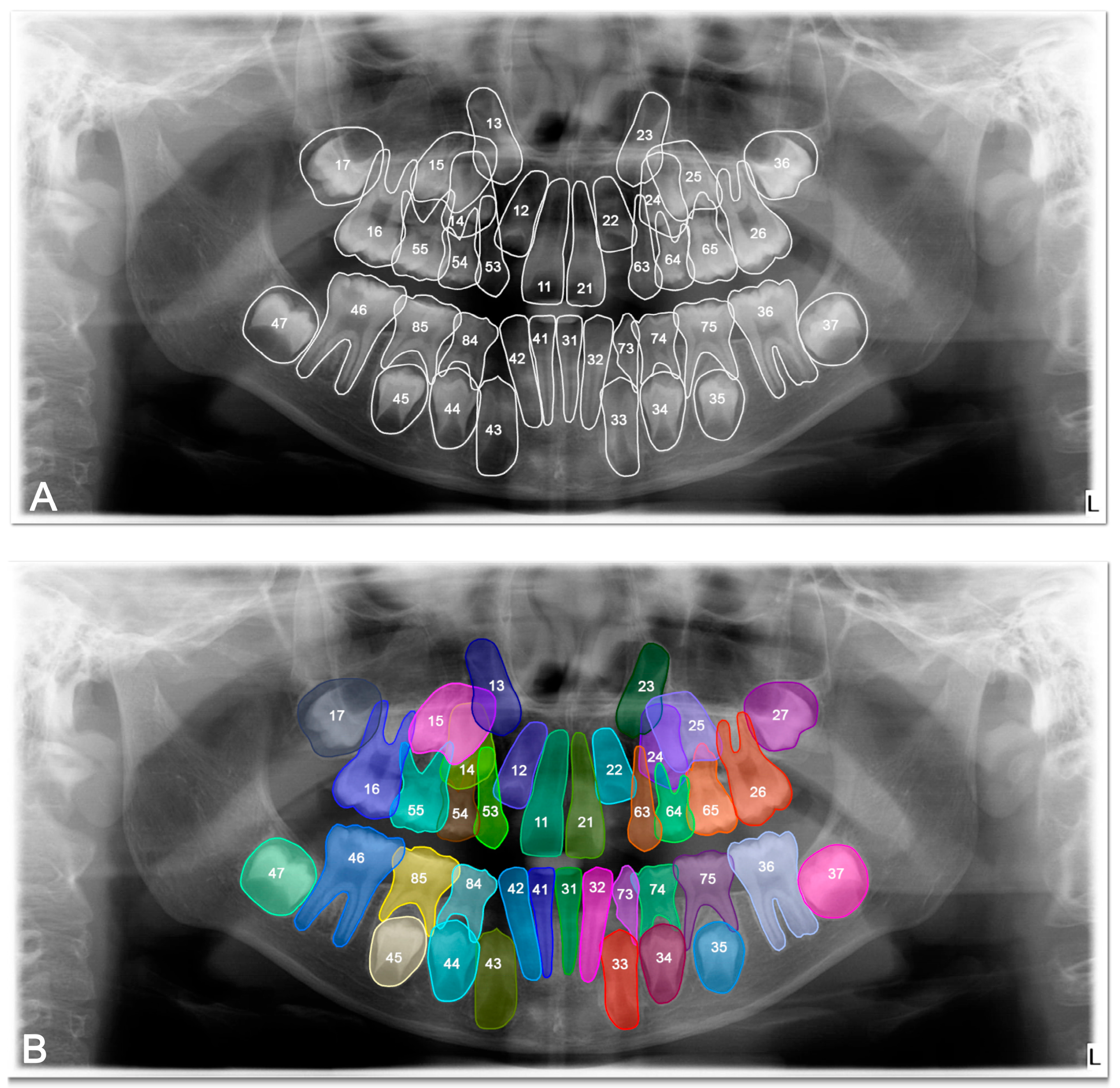 Diagnostics 15 02577 g004
