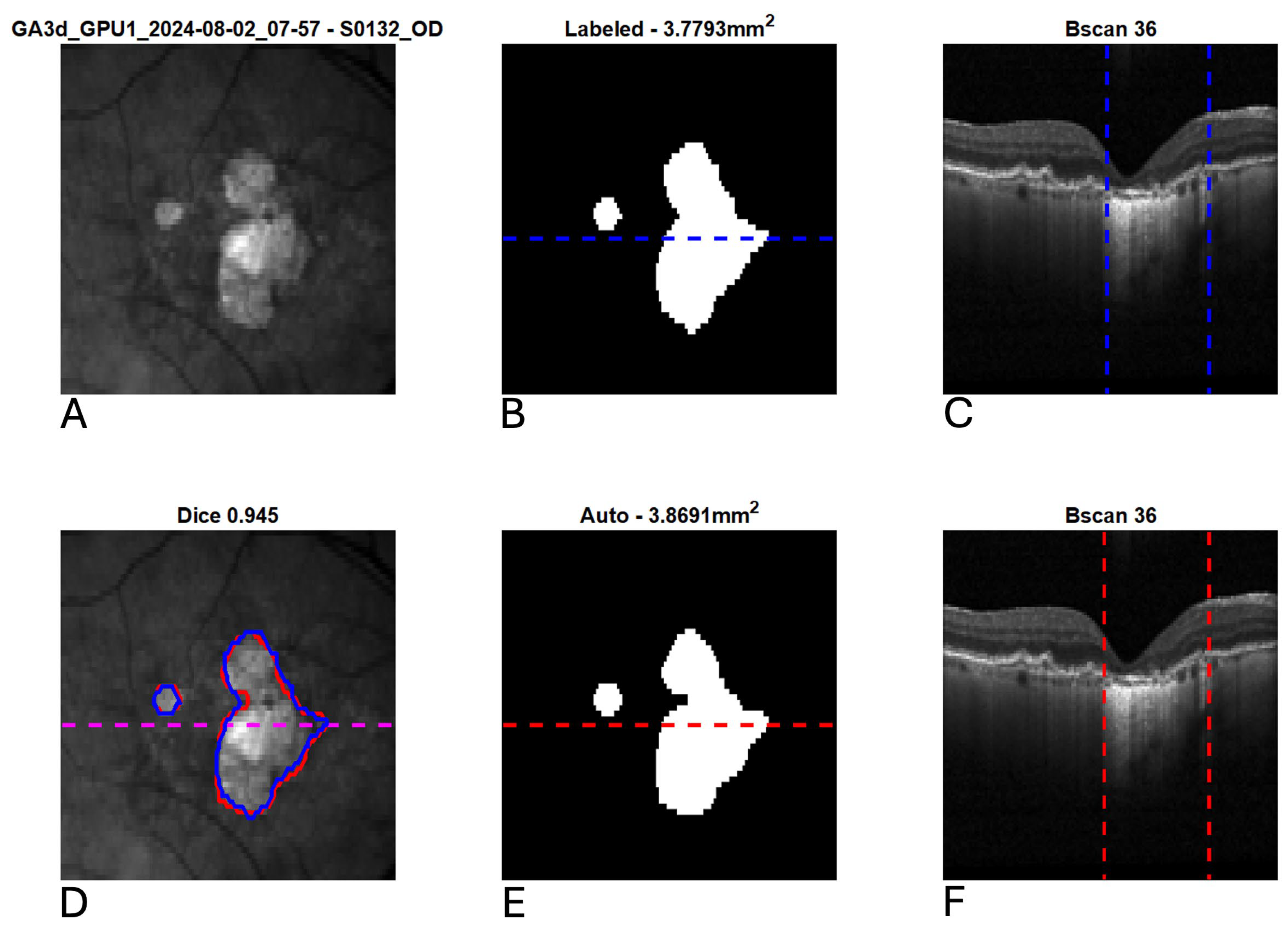 Diagnostics 15 02580 g004 Diagnostics 15 02580 g004