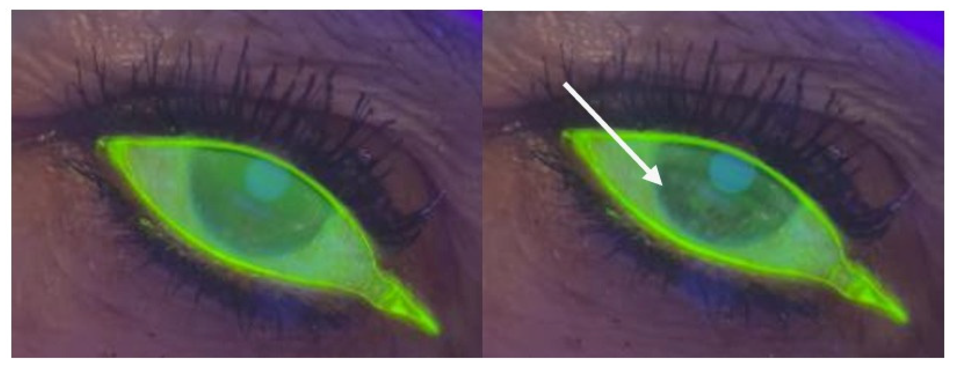 Diagnostics 15 02581 g002