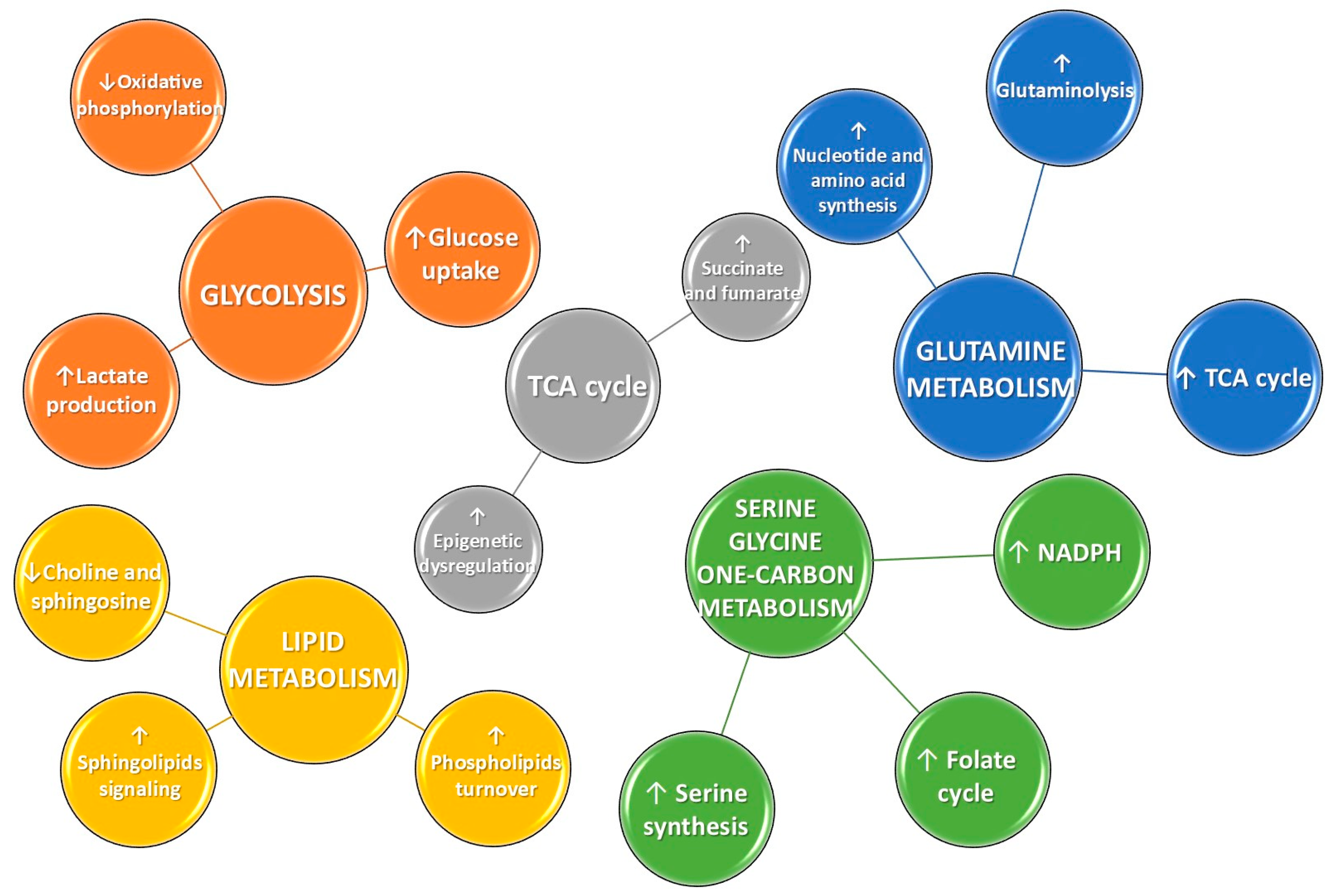 Diagnostics 15 02586 g002 Diagnostics 15 02586 g002