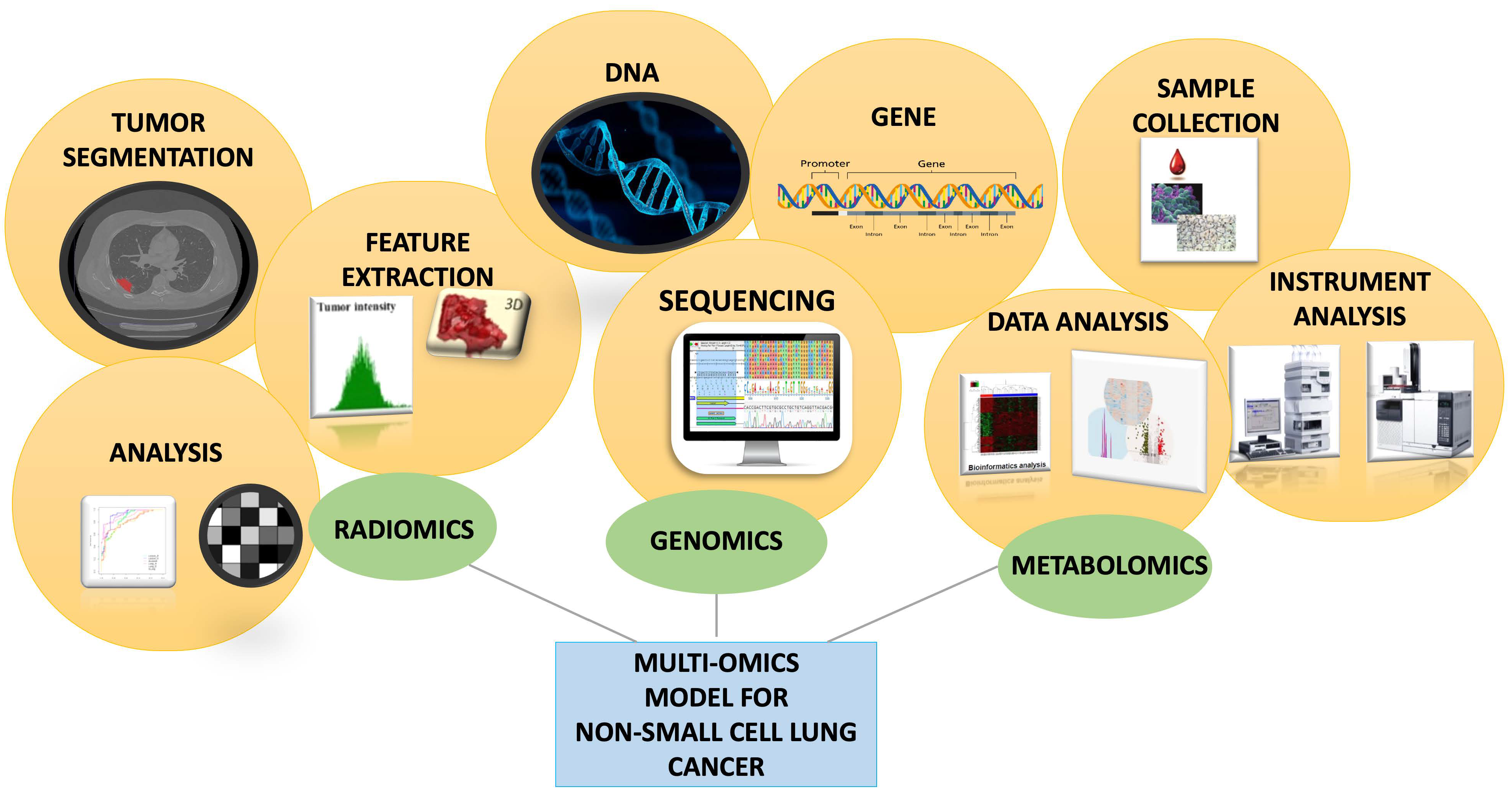 Diagnostics 15 02586 g005 Diagnostics 15 02586 g005