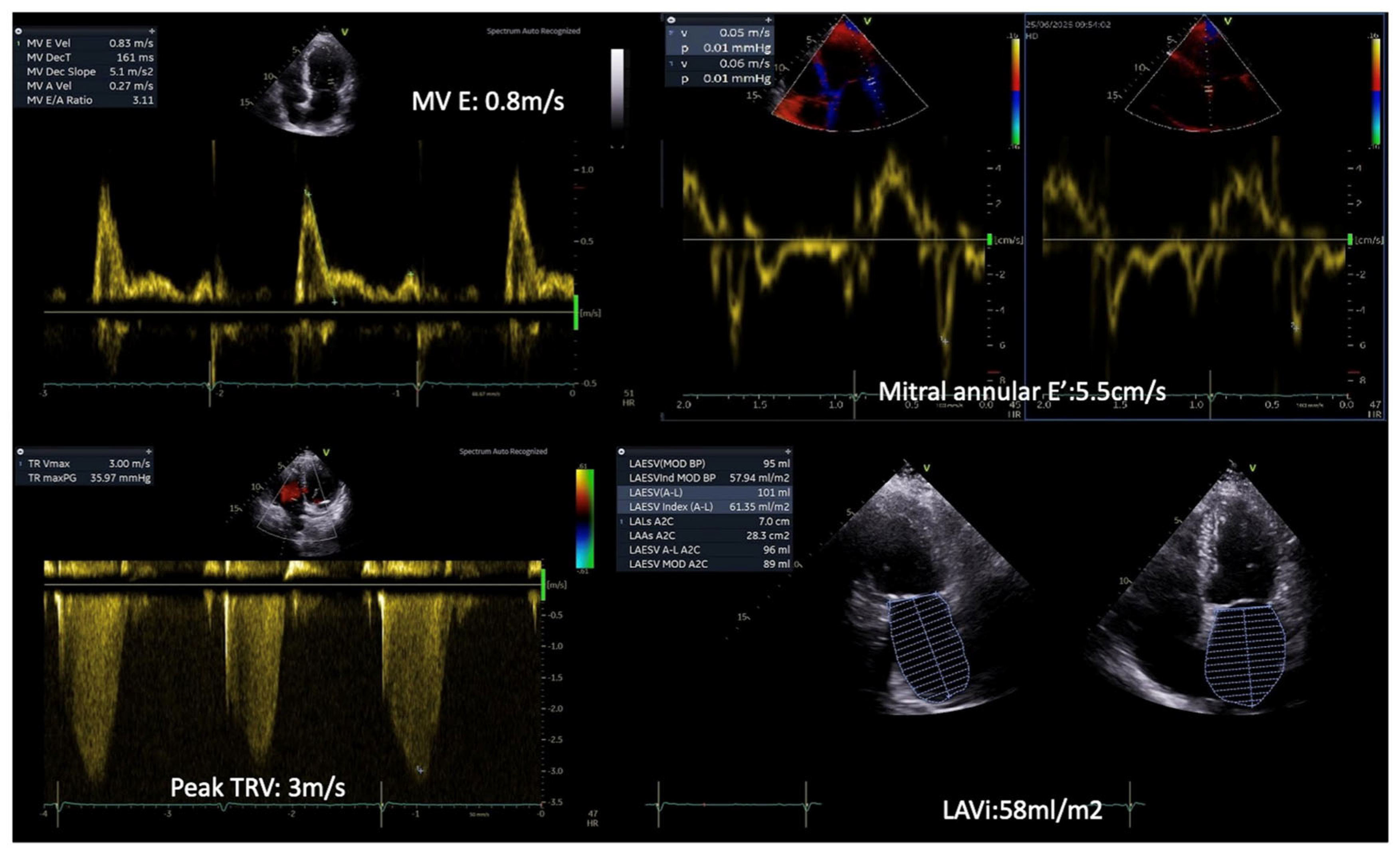 Diagnostics 15 02587 g001