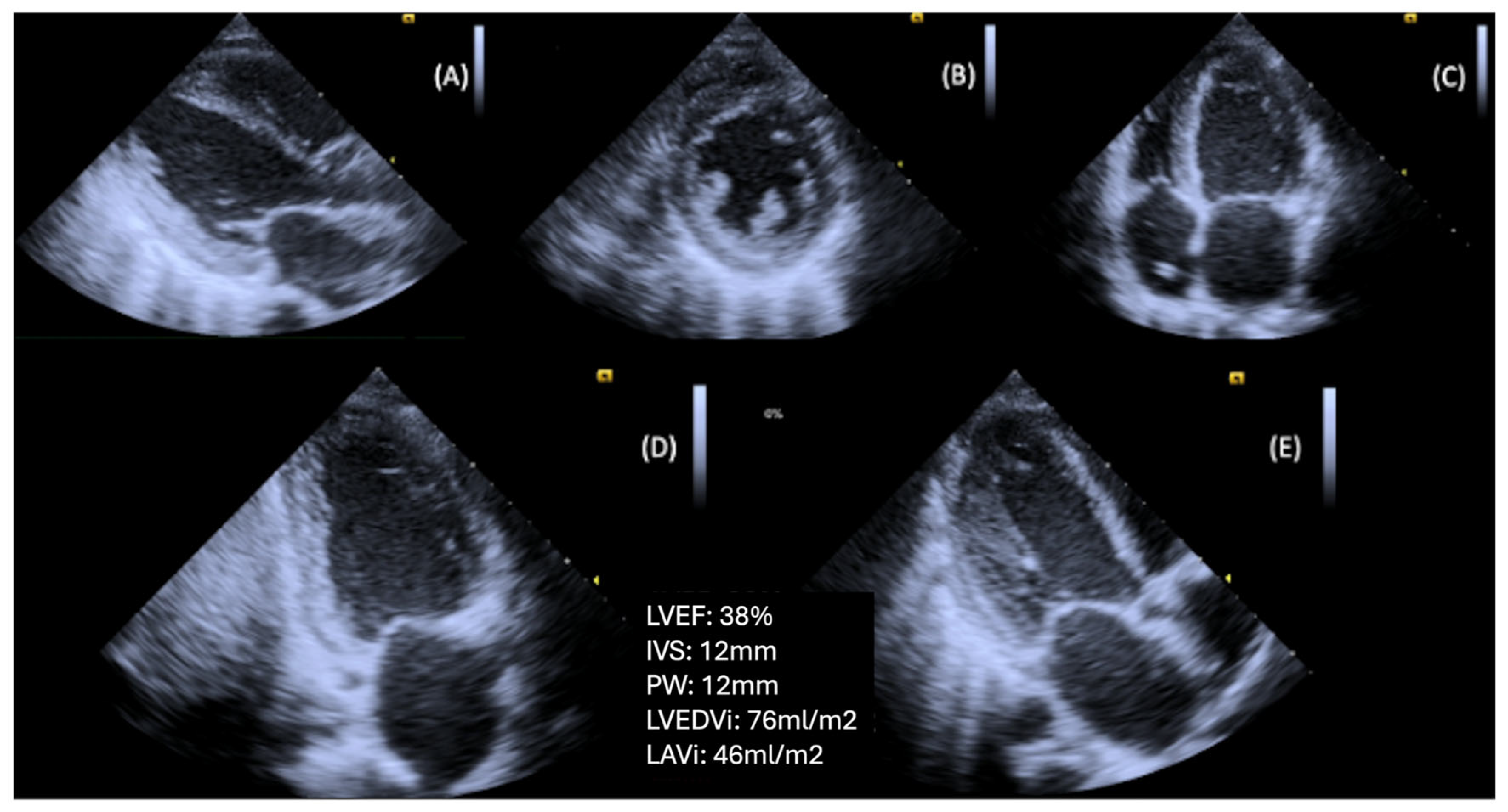 Diagnostics 15 02587 g002
