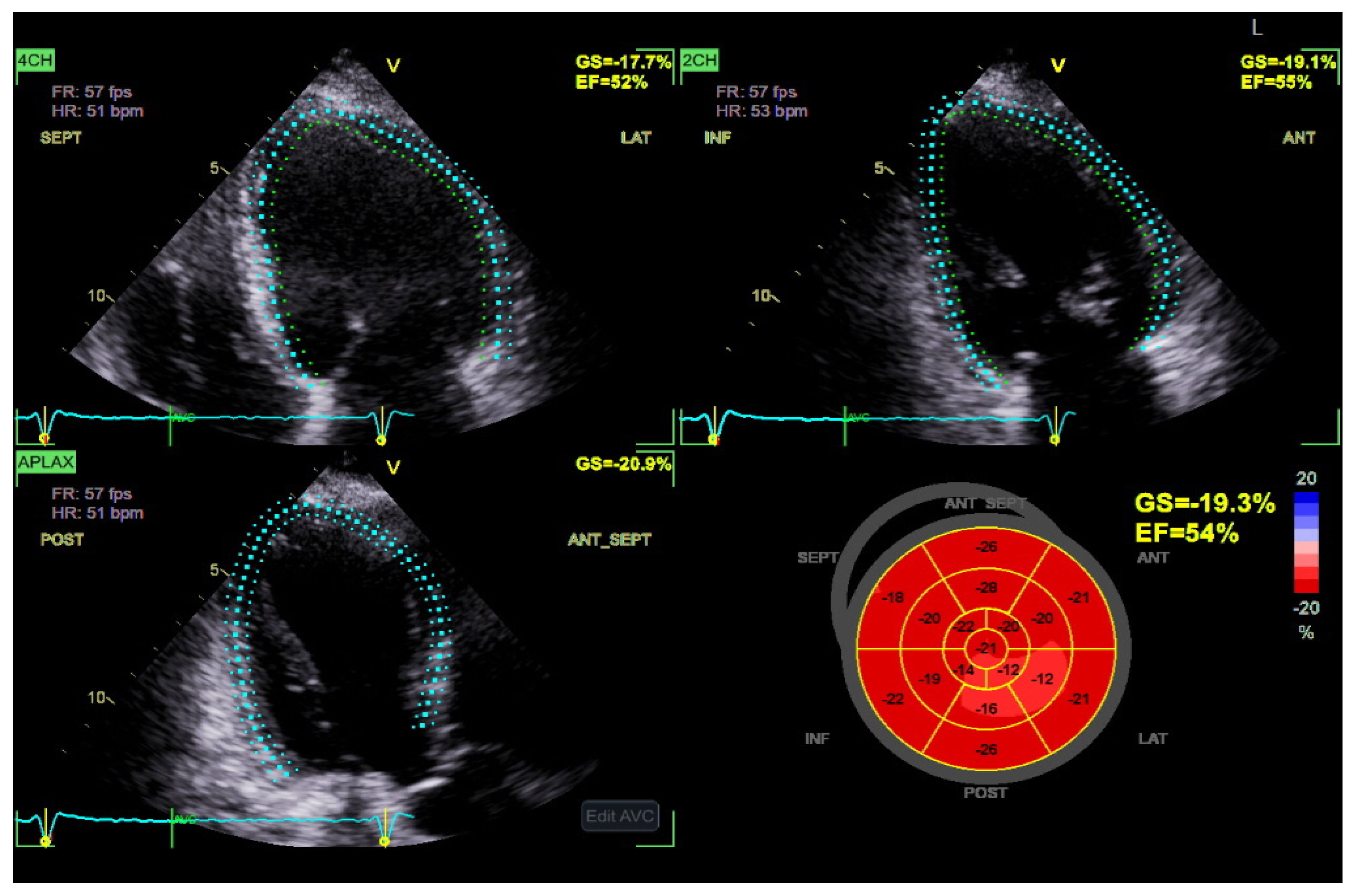 Diagnostics 15 02587 g003