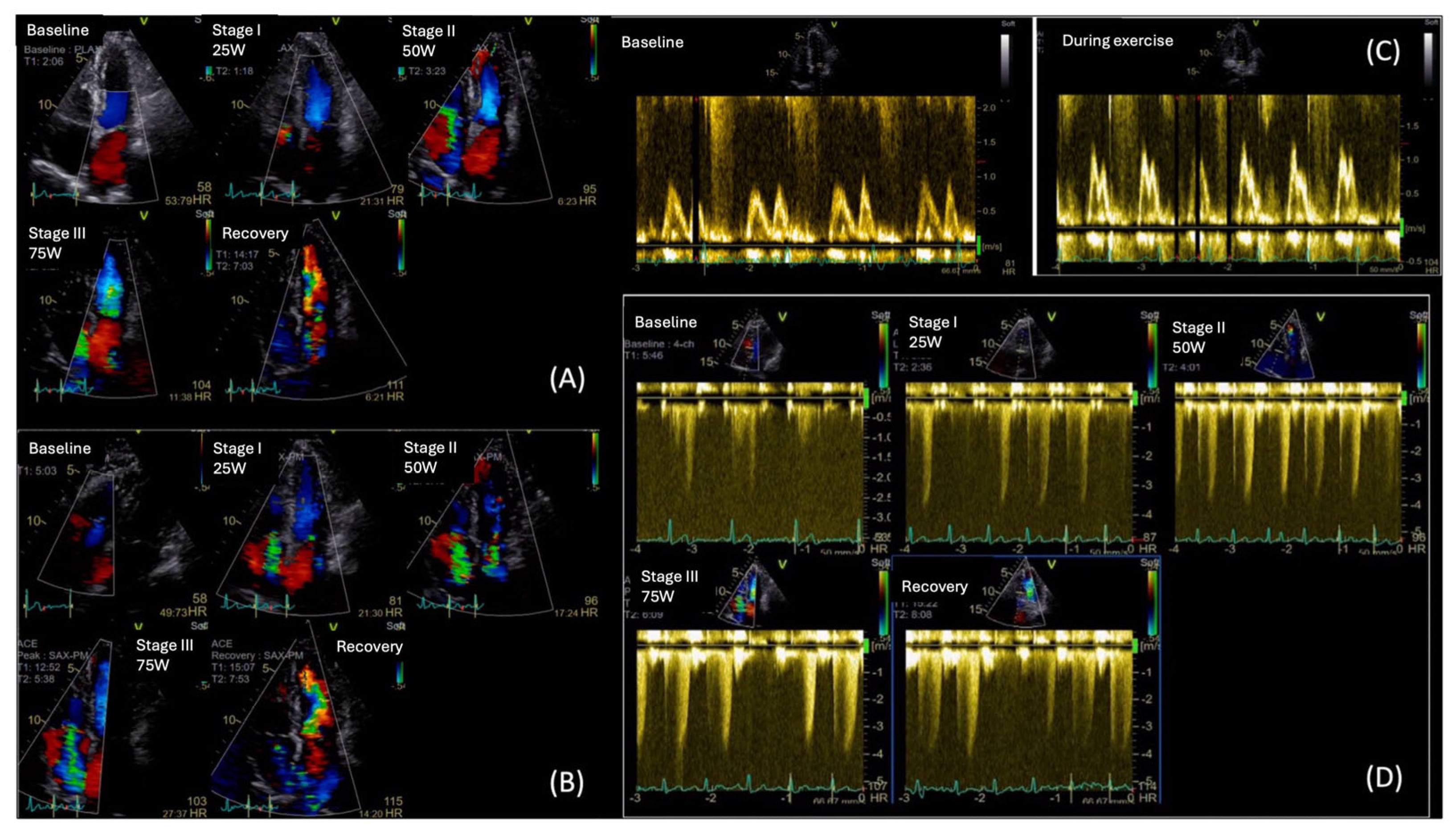 Diagnostics 15 02587 g006