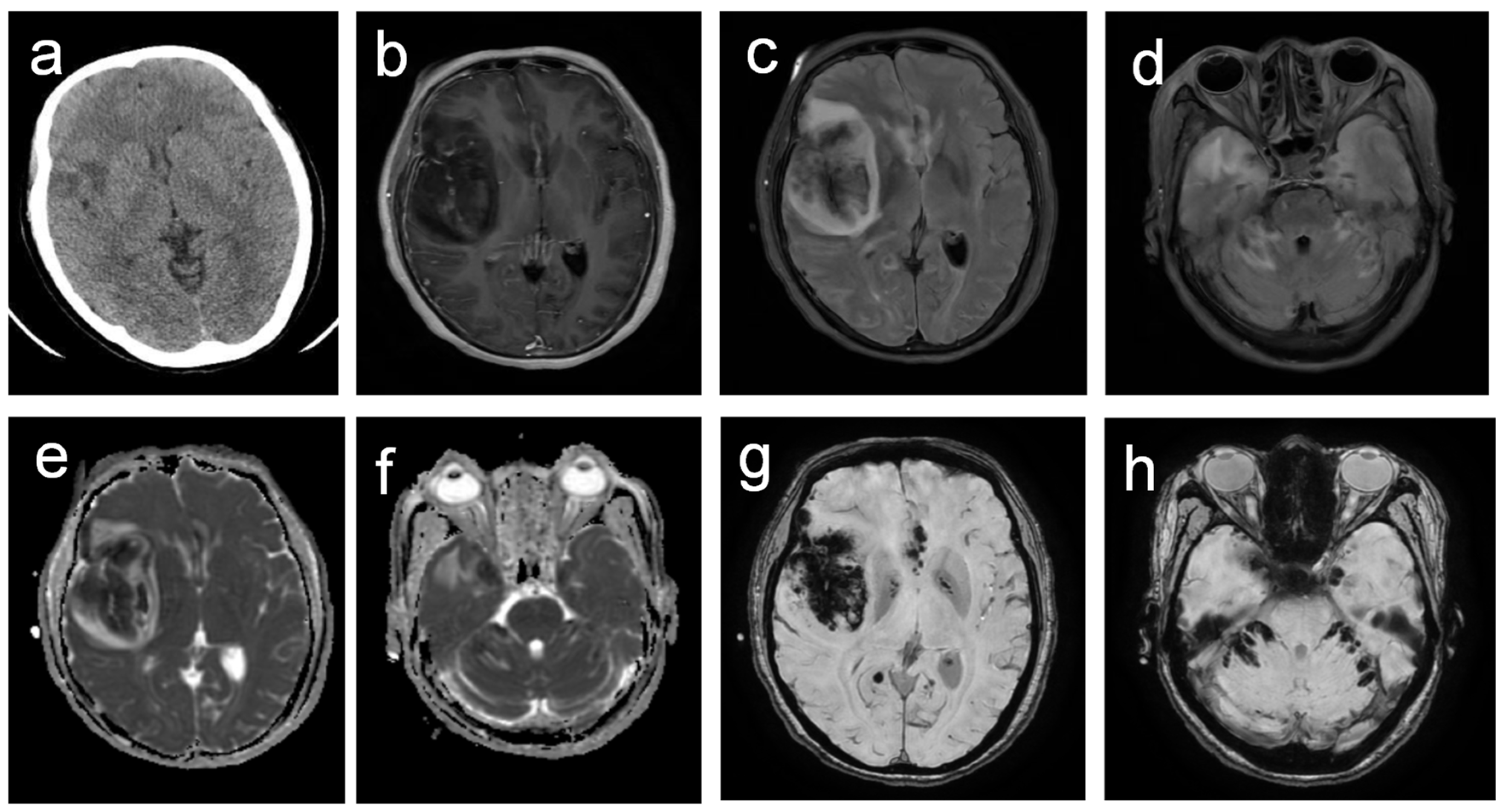 Diagnostics 15 02590 g001