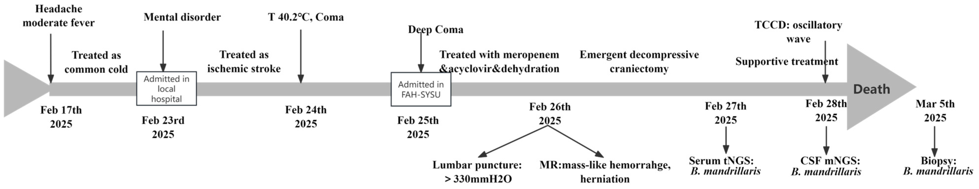 Diagnostics 15 02590 g004
