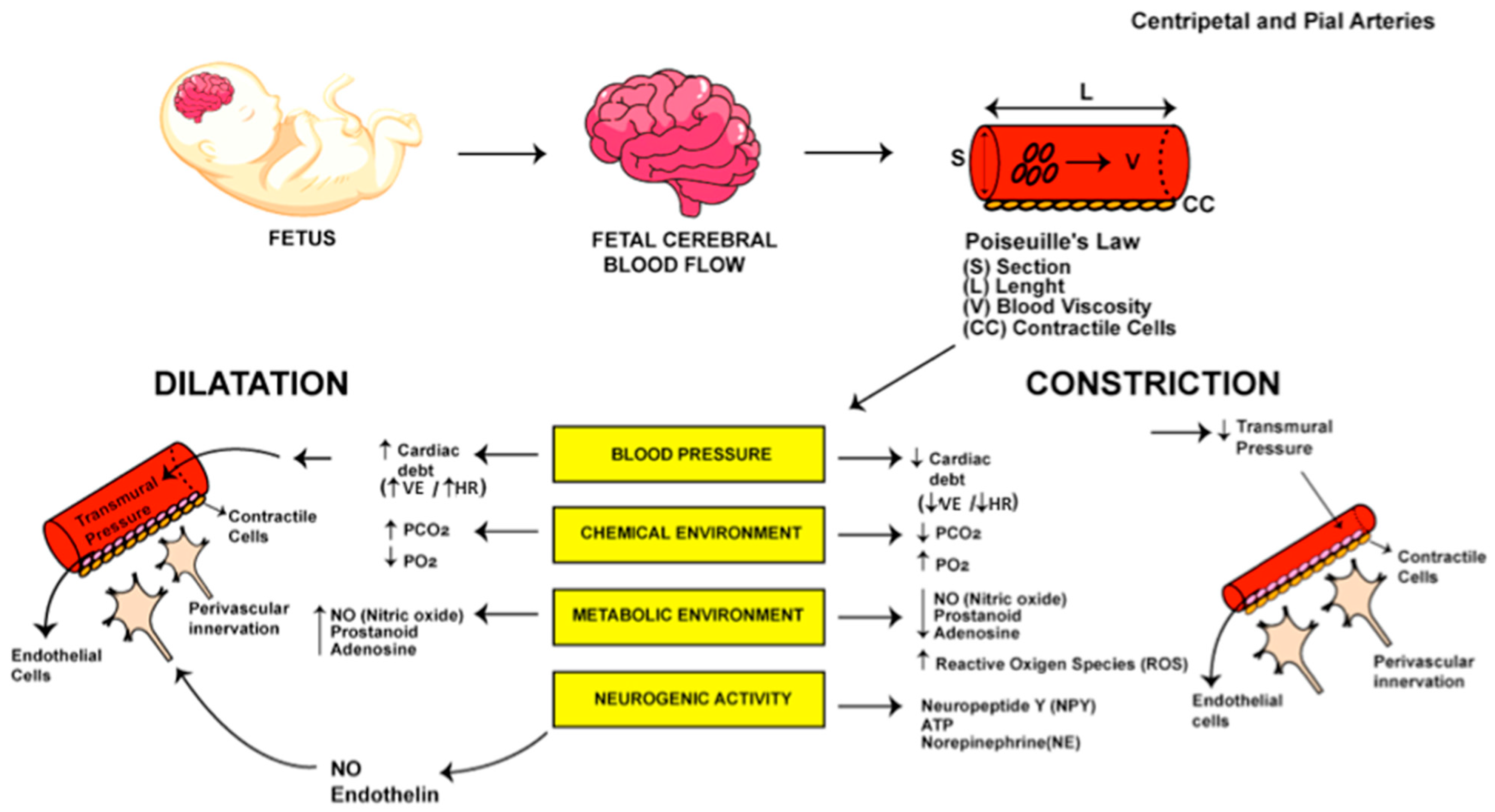 Diagnostics 15 02592 g002
