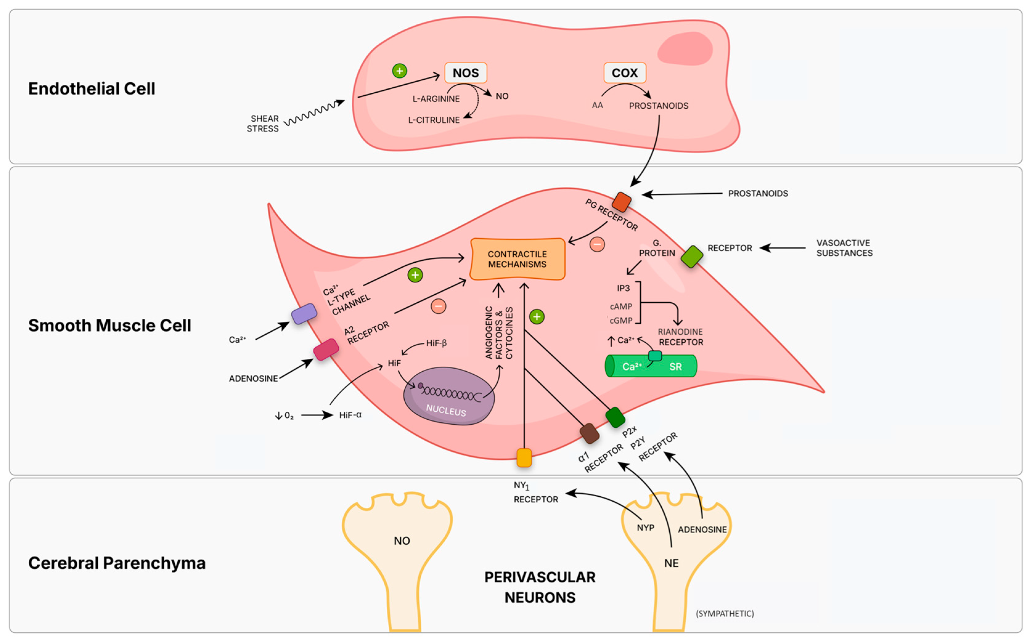 Diagnostics 15 02592 g003