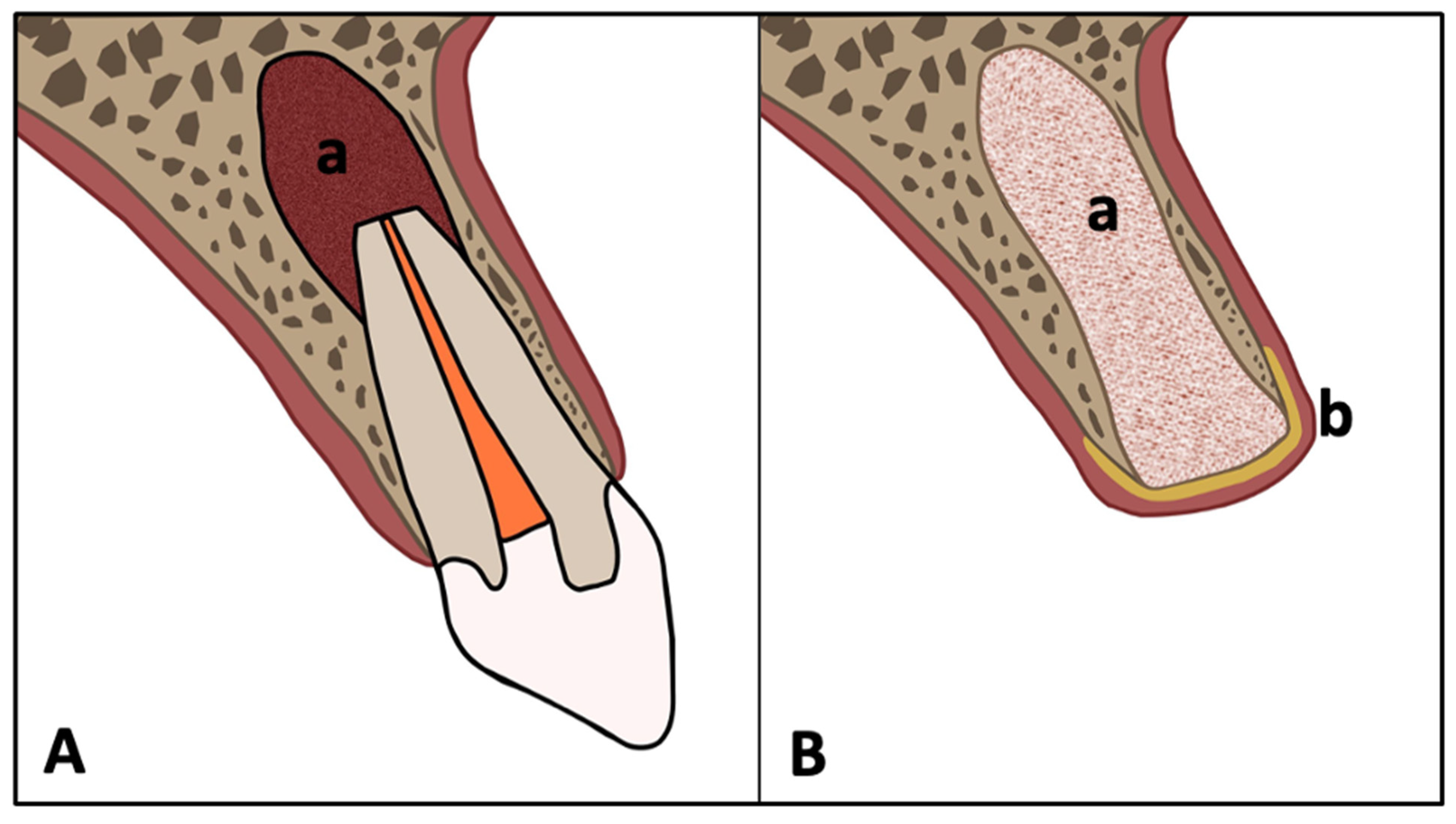 Diagnostics 15 02597 g001 Diagnostics 15 02597 g001