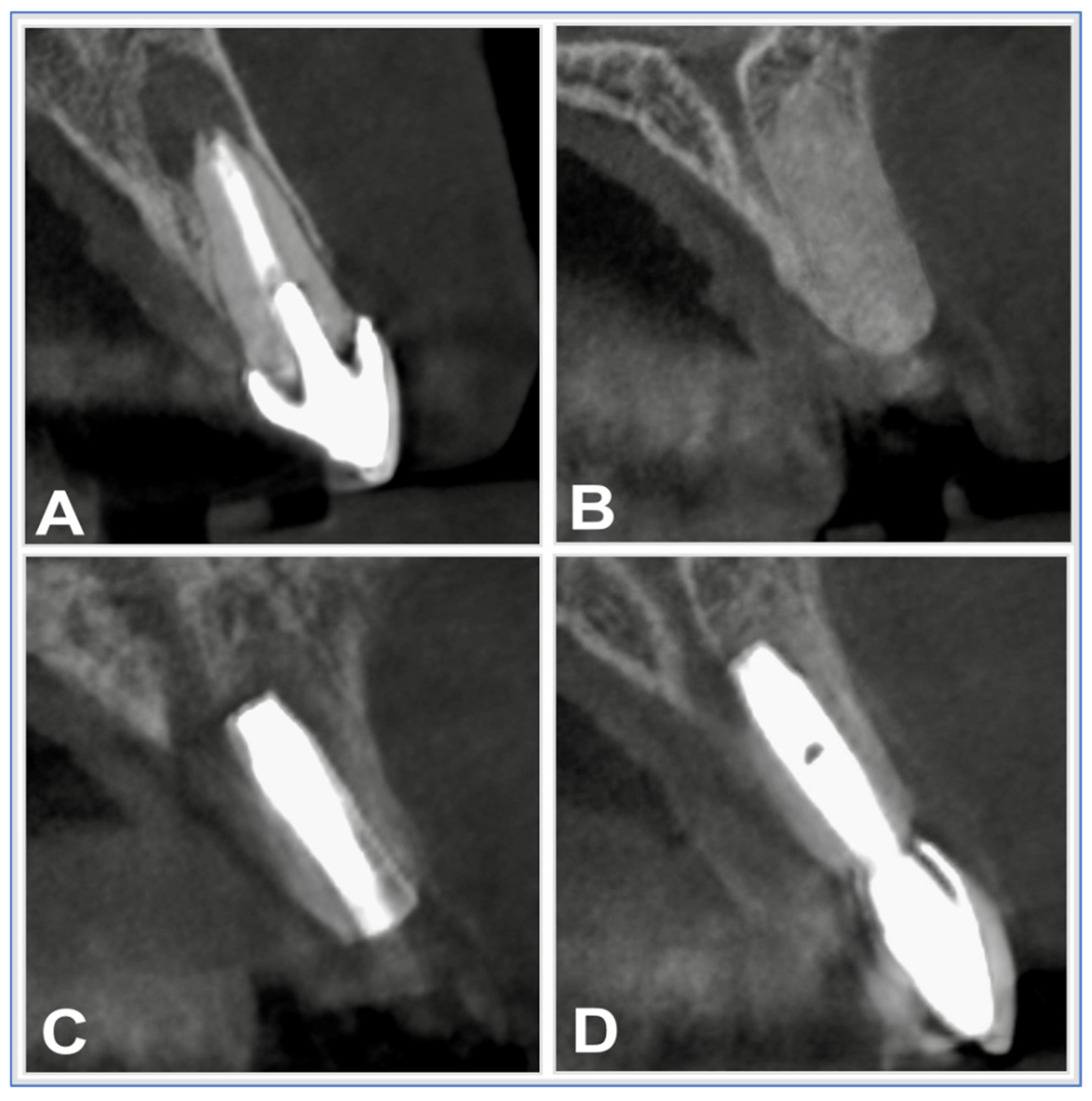 Diagnostics 15 02597 g002 Diagnostics 15 02597 g002