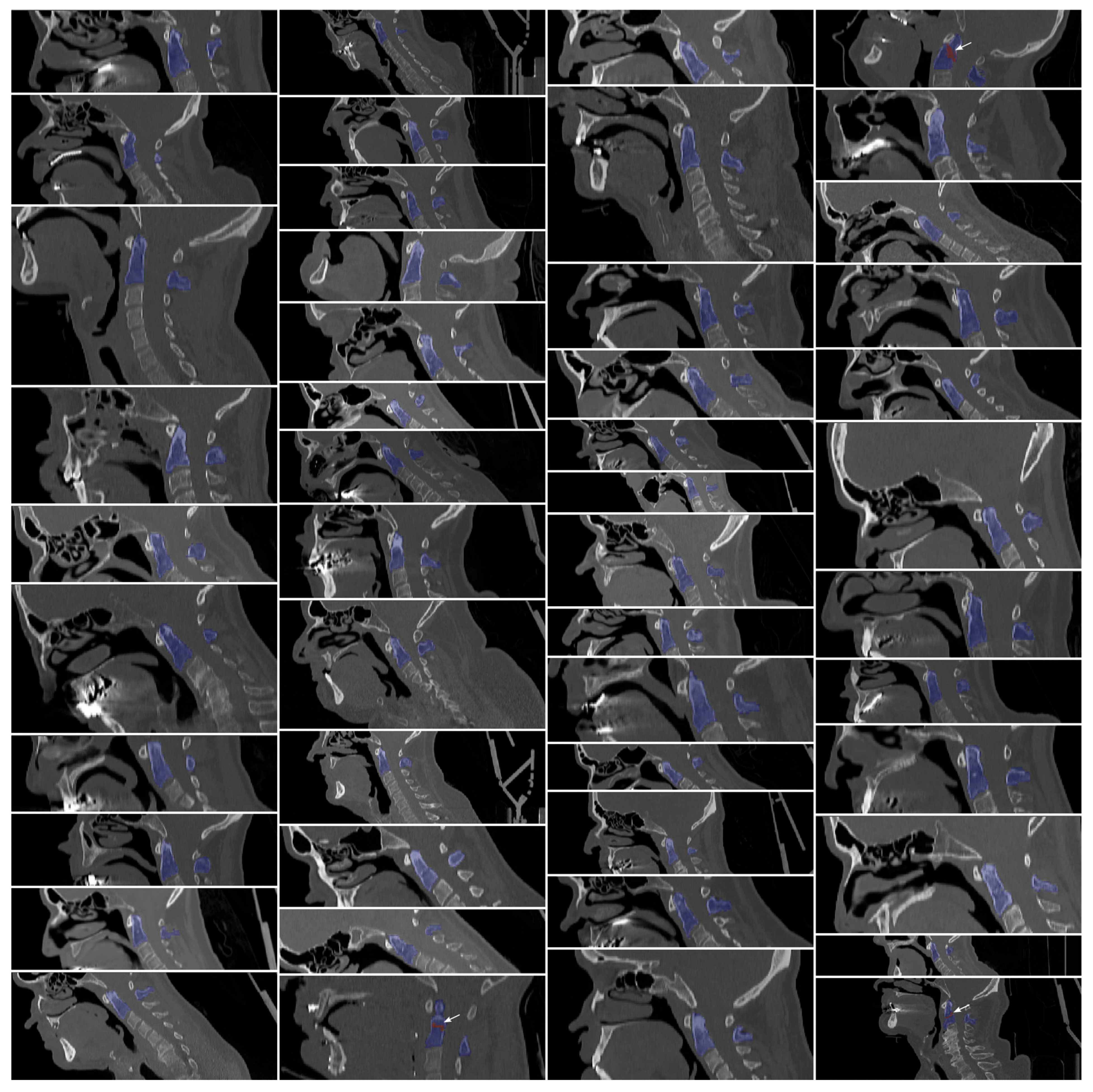 Diagnostics 15 02599 g001 Diagnostics 15 02599 g001