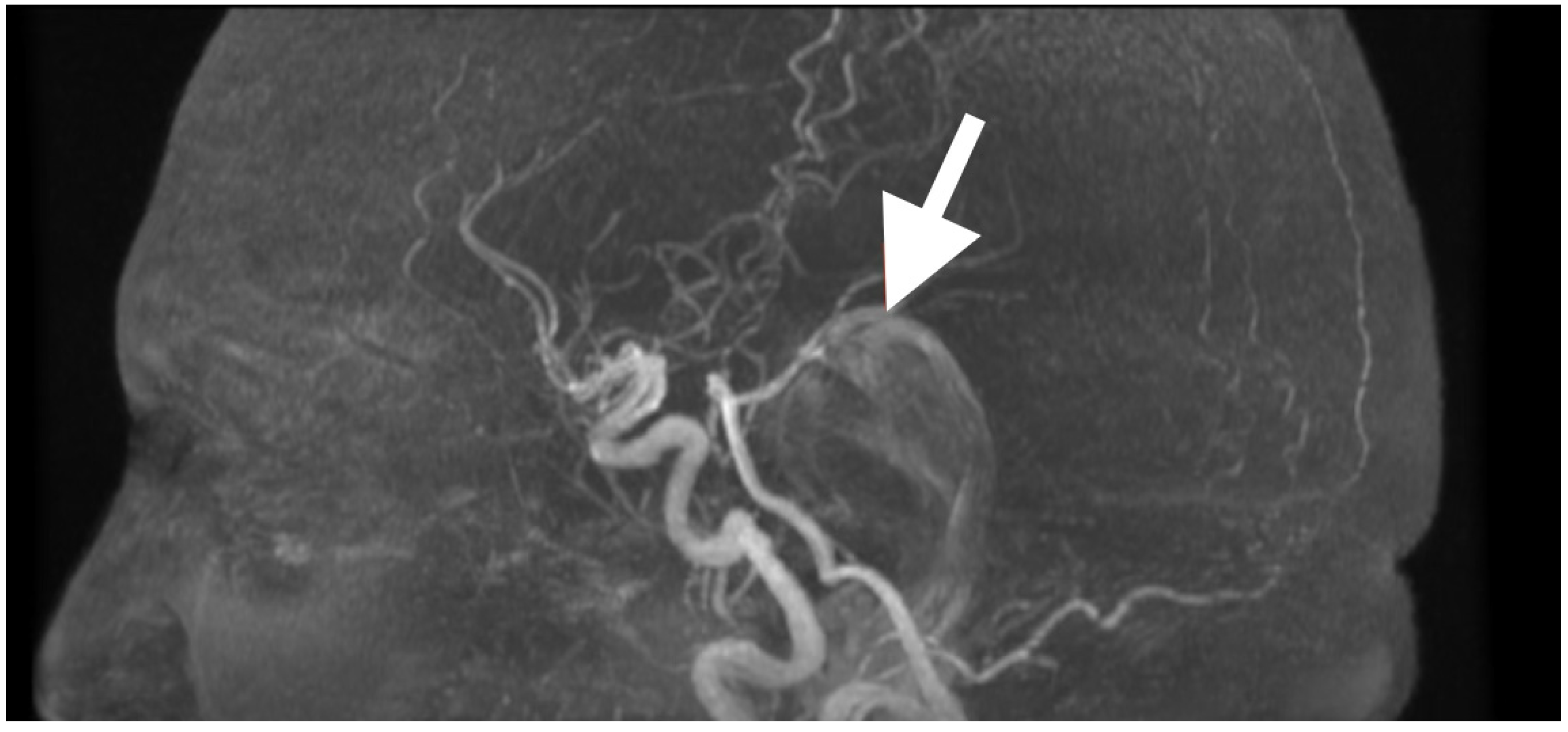 Diagnostics 15 02600 g001